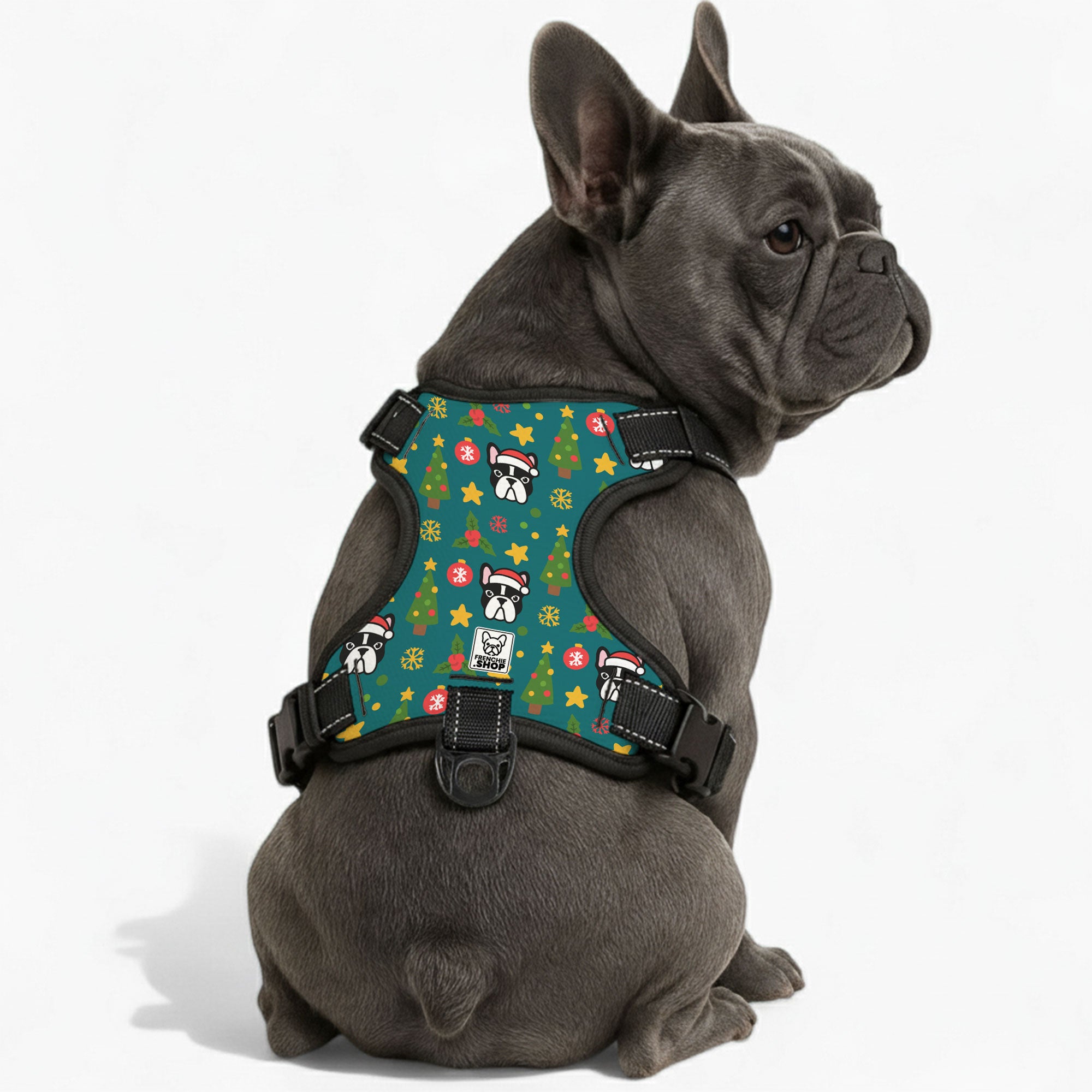 French Bulldog No-Pull Chest Harness for Training Sessions-fadou
