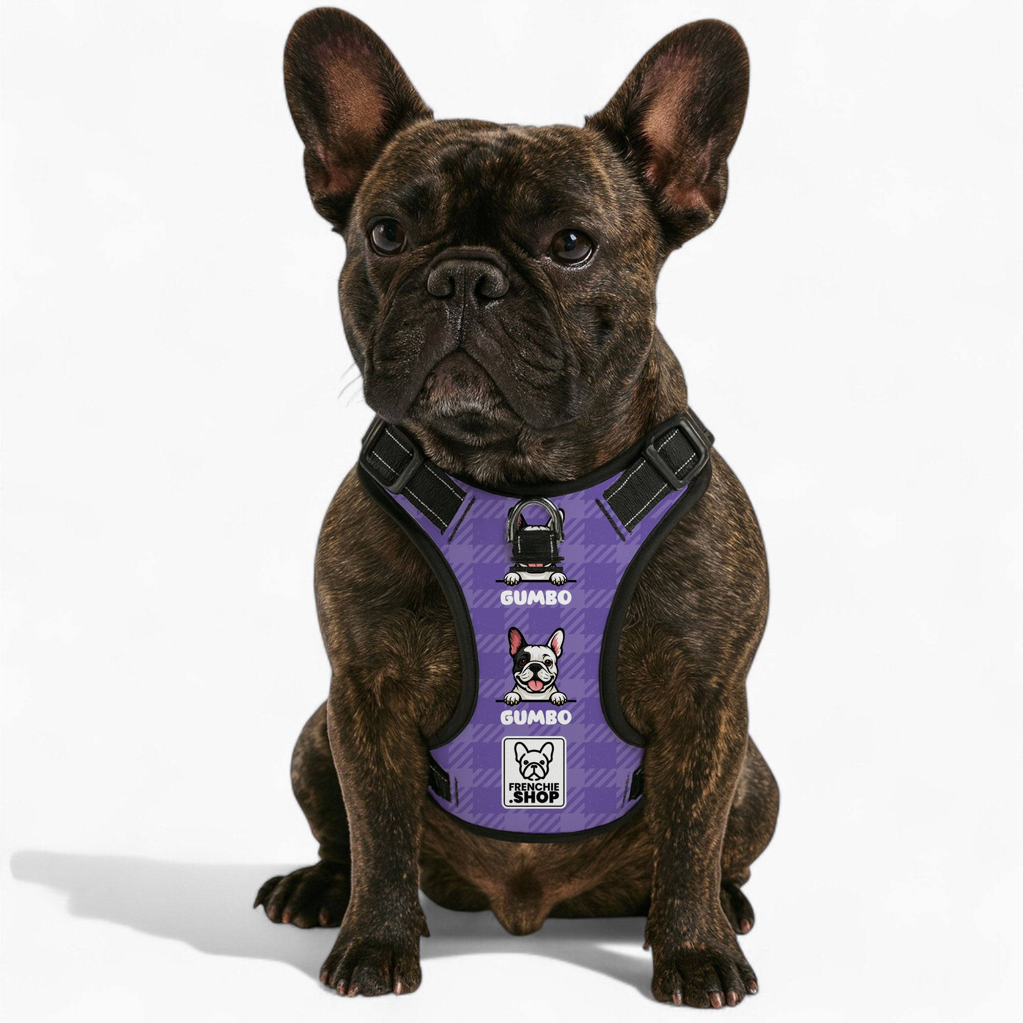 Personalized No-Pull Chest Harness for Brachycephalic Dogs-fadou