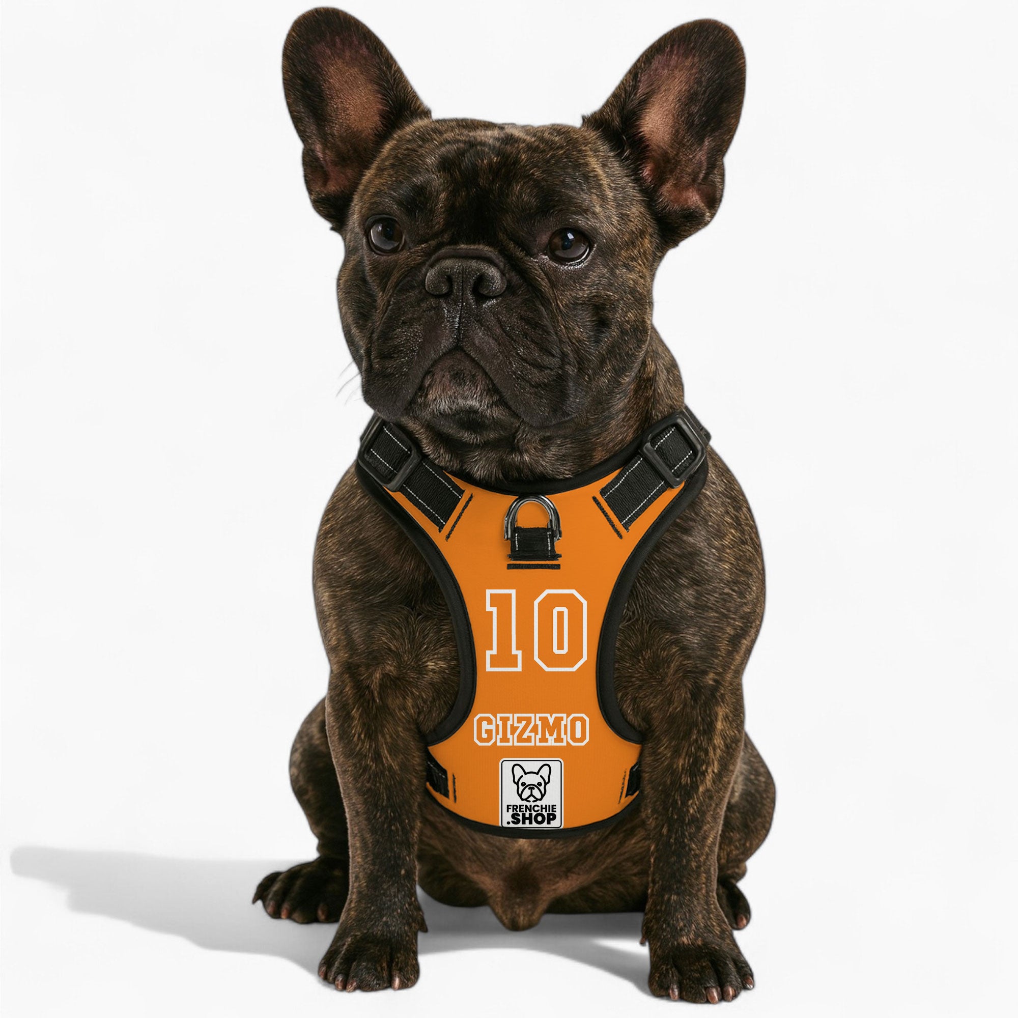 Personalized No-Pull Chest Harness for Flat-Face Breeds-fadou