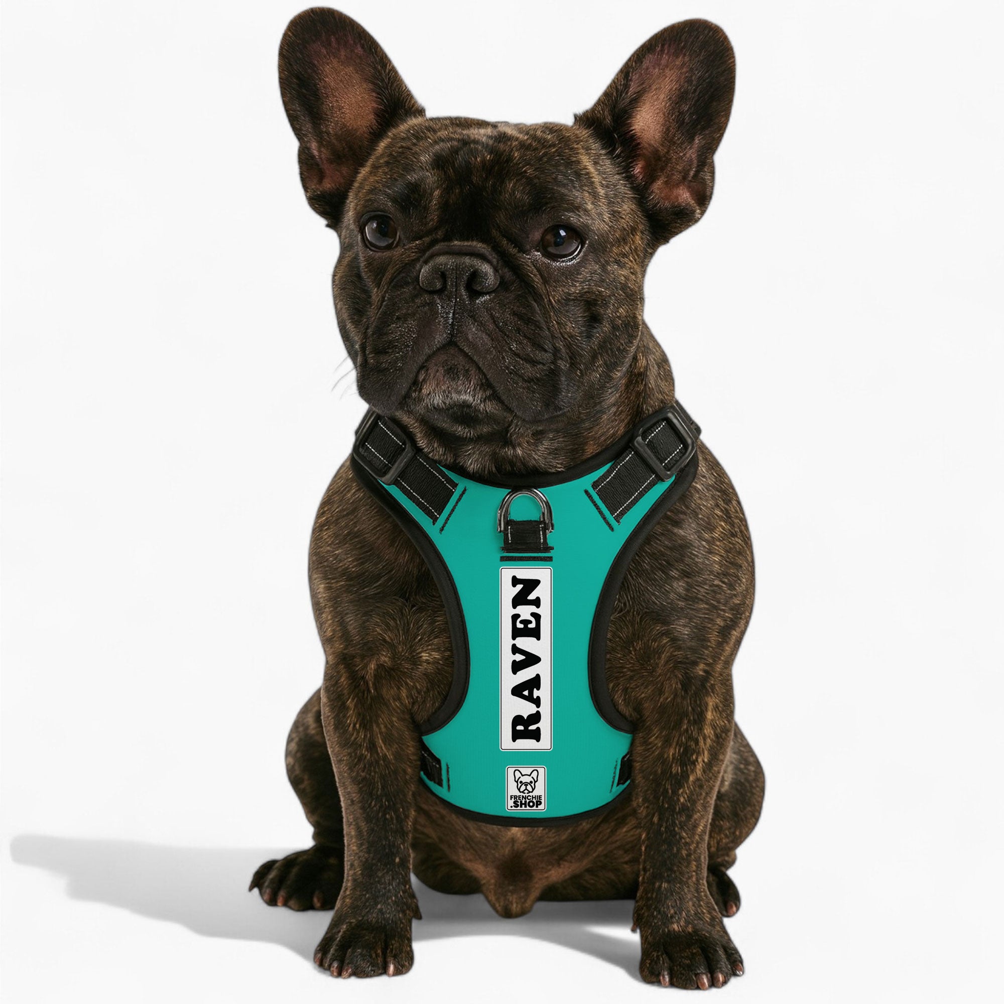Personalized No-Pull Dog Harness for Brachycephalic Dogs-fadou