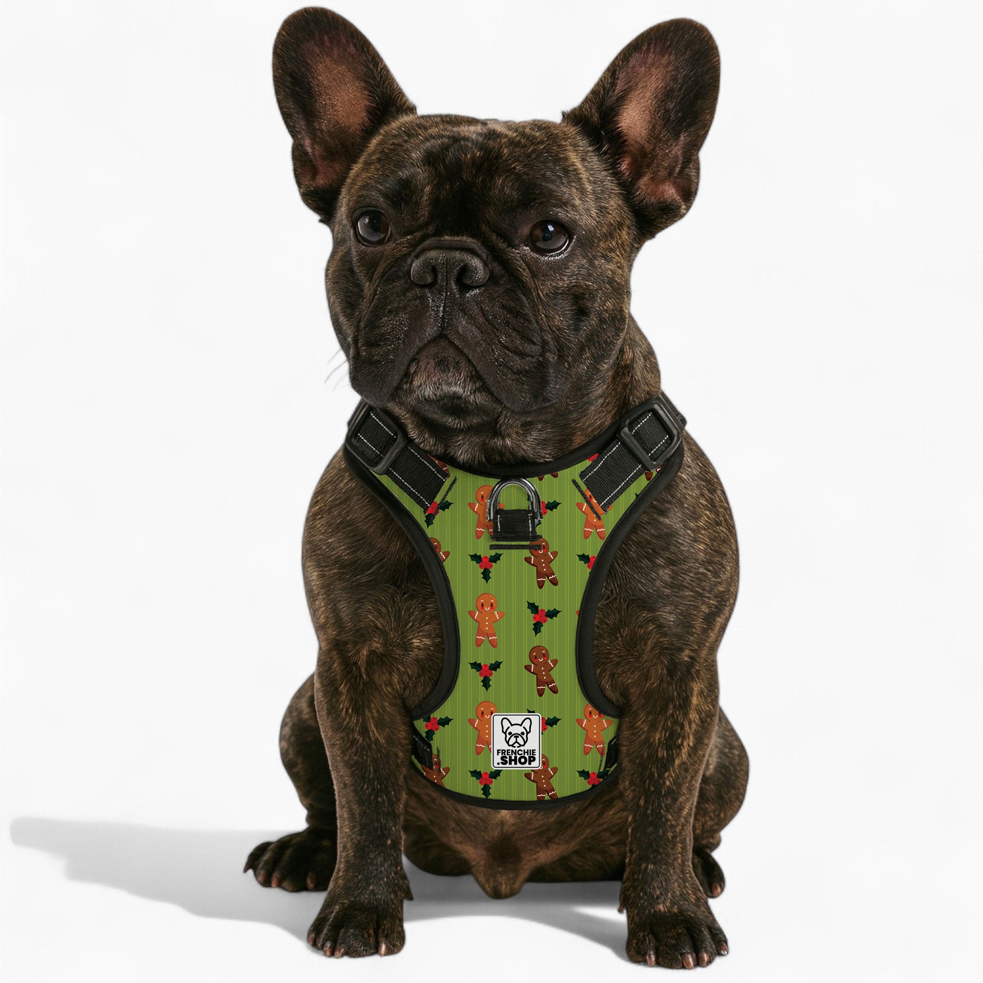 Mabel French Bulldog Walking Harness for Outdoor Adventures-fadou