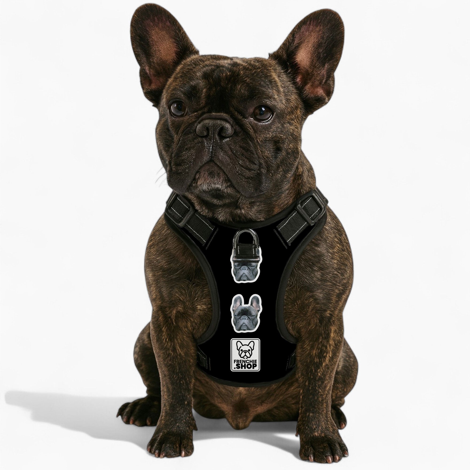 Personalized No-Pull Chest Harness for Short-Nosed Dogs-fadou