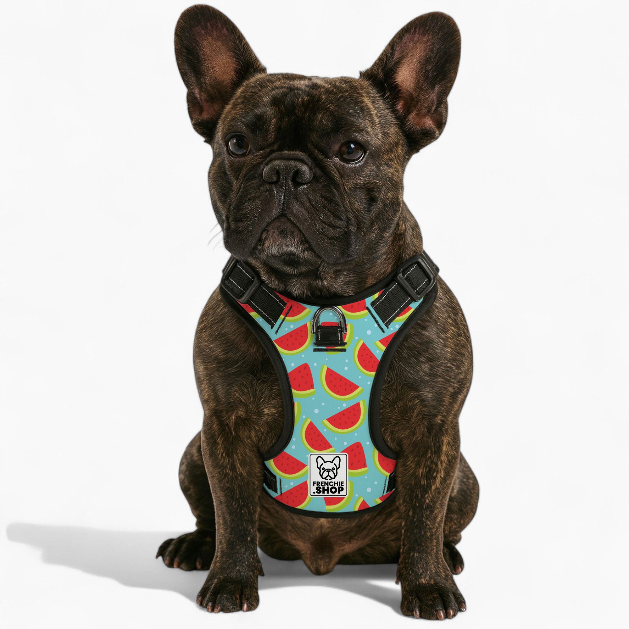 Louis French Bulldog Walking Harness for Short-Nosed Dogs-fadou