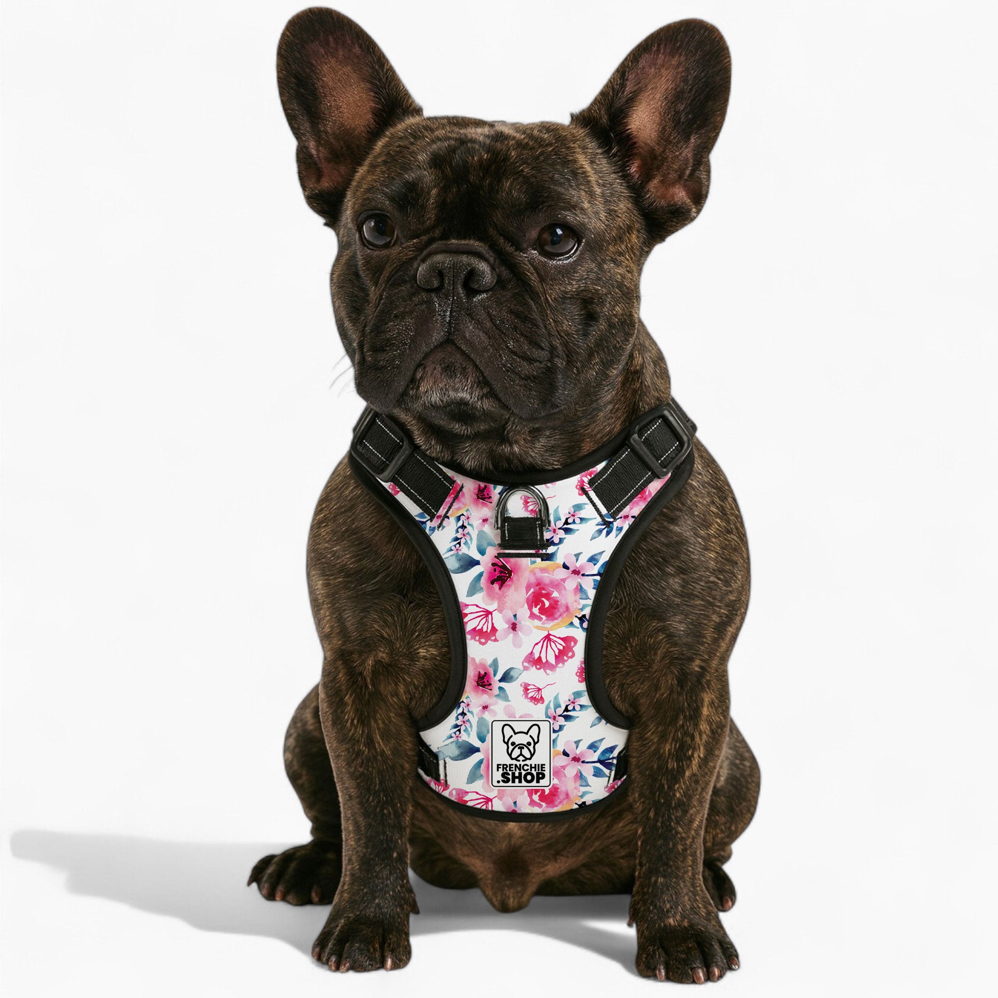 Zinnia French Bulldog Chest Harness for Flat-Face Breeds-fadou