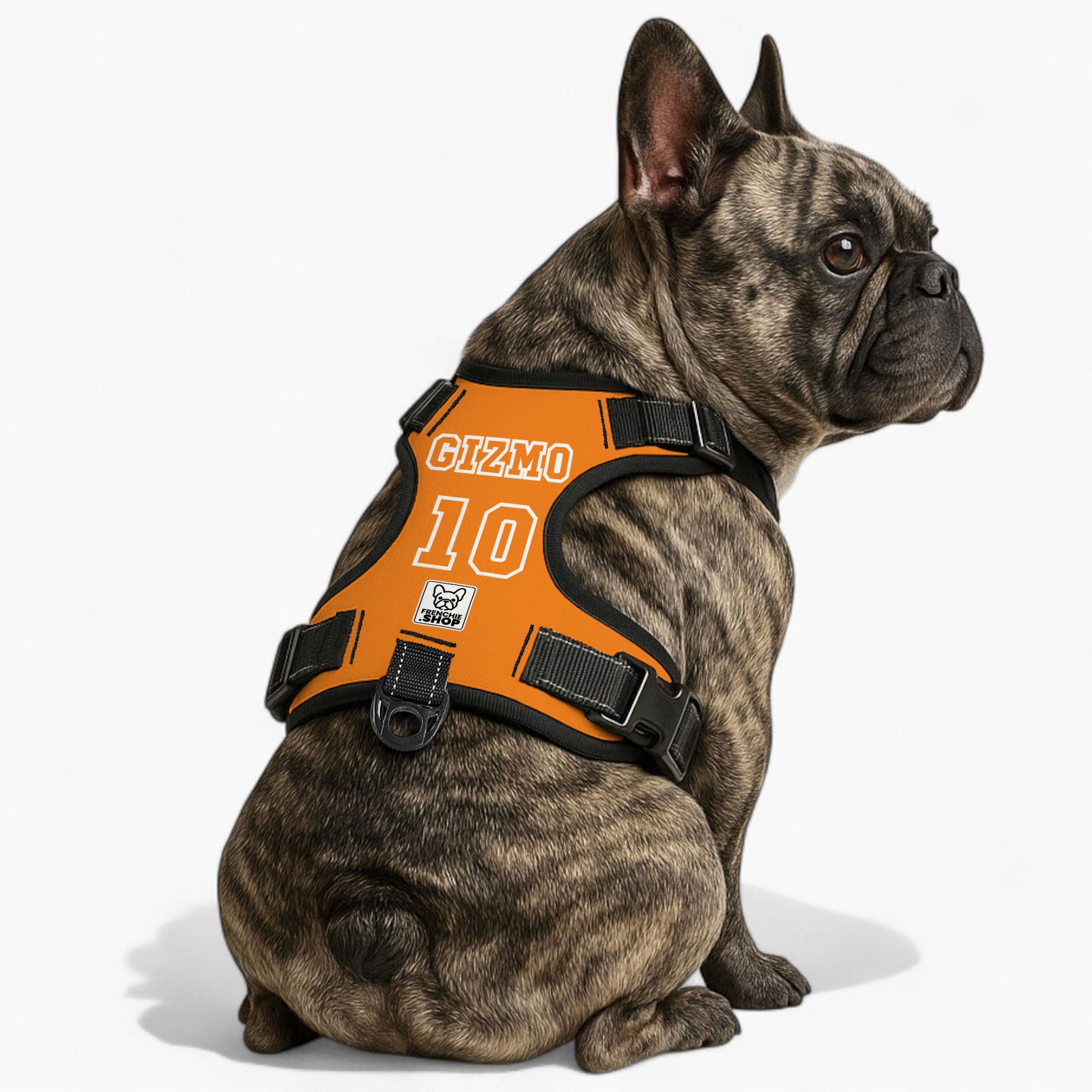 Personalized No-Pull Chest Harness for Flat-Face Breeds-fadou