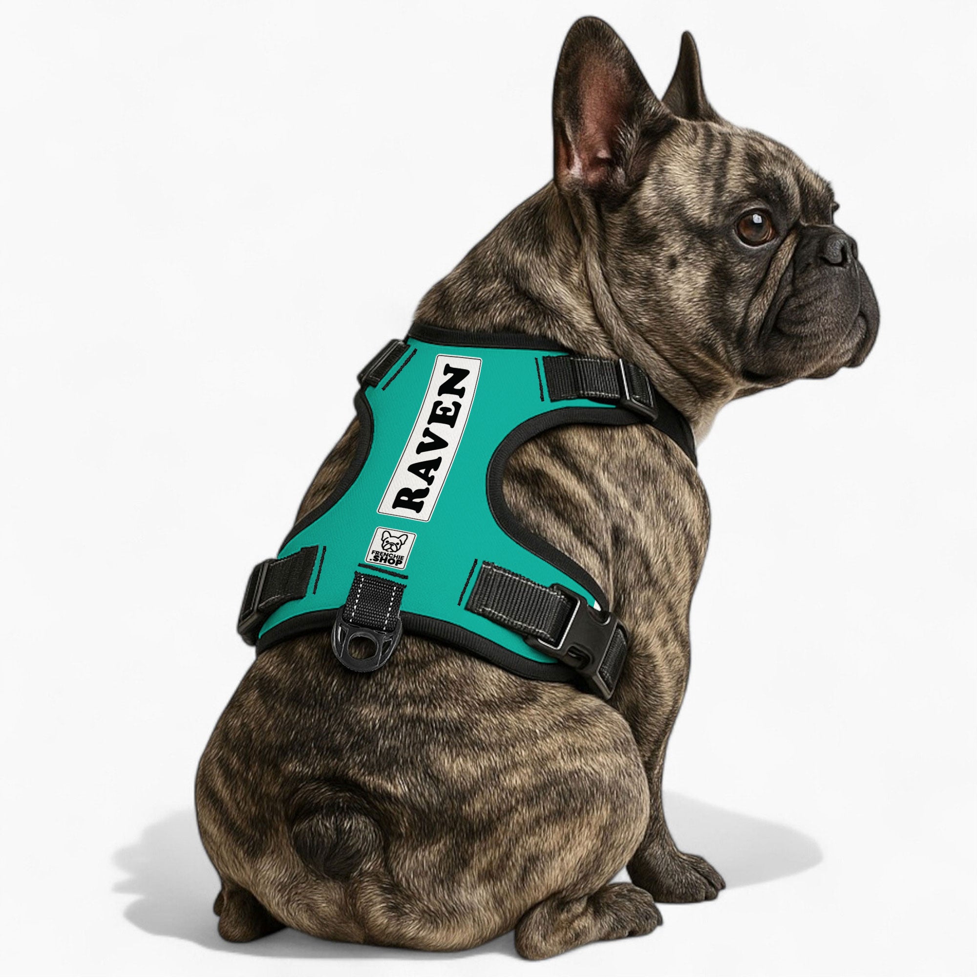Personalized No-Pull Dog Harness for Brachycephalic Dogs-fadou