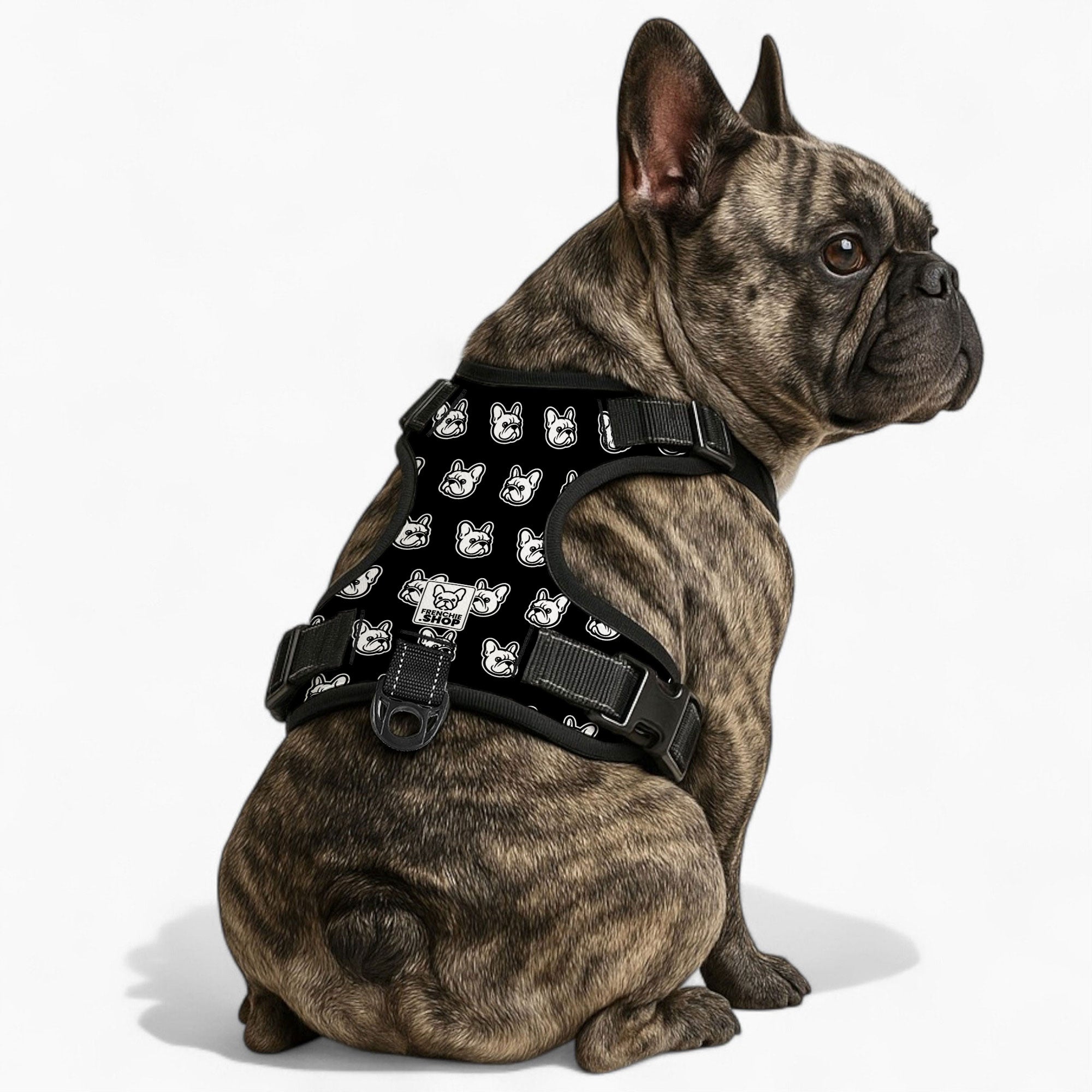 Madison French Bulldog Dog Harness for Training Sessions-fadou