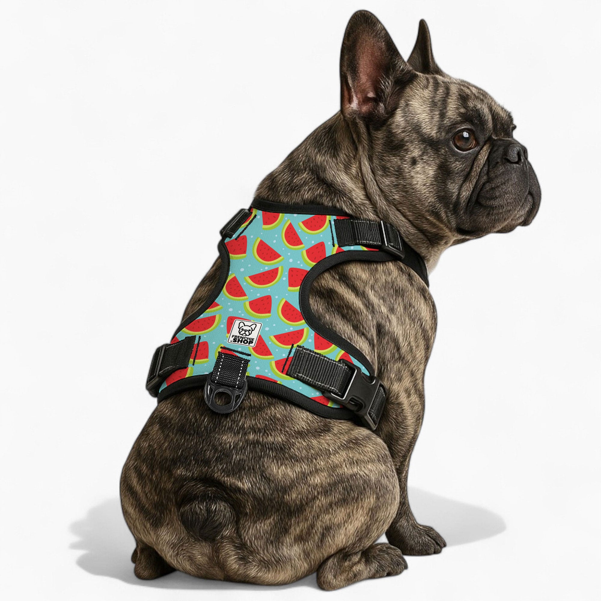 Louis French Bulldog Walking Harness for Short-Nosed Dogs-fadou