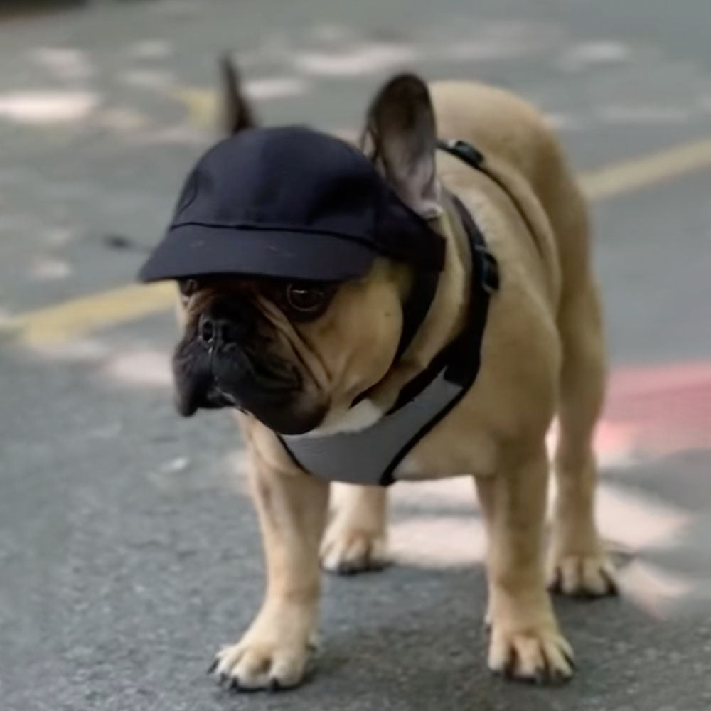 French Bulldog Stylish Sun Headwear for Flat-Face Breeds-fadou