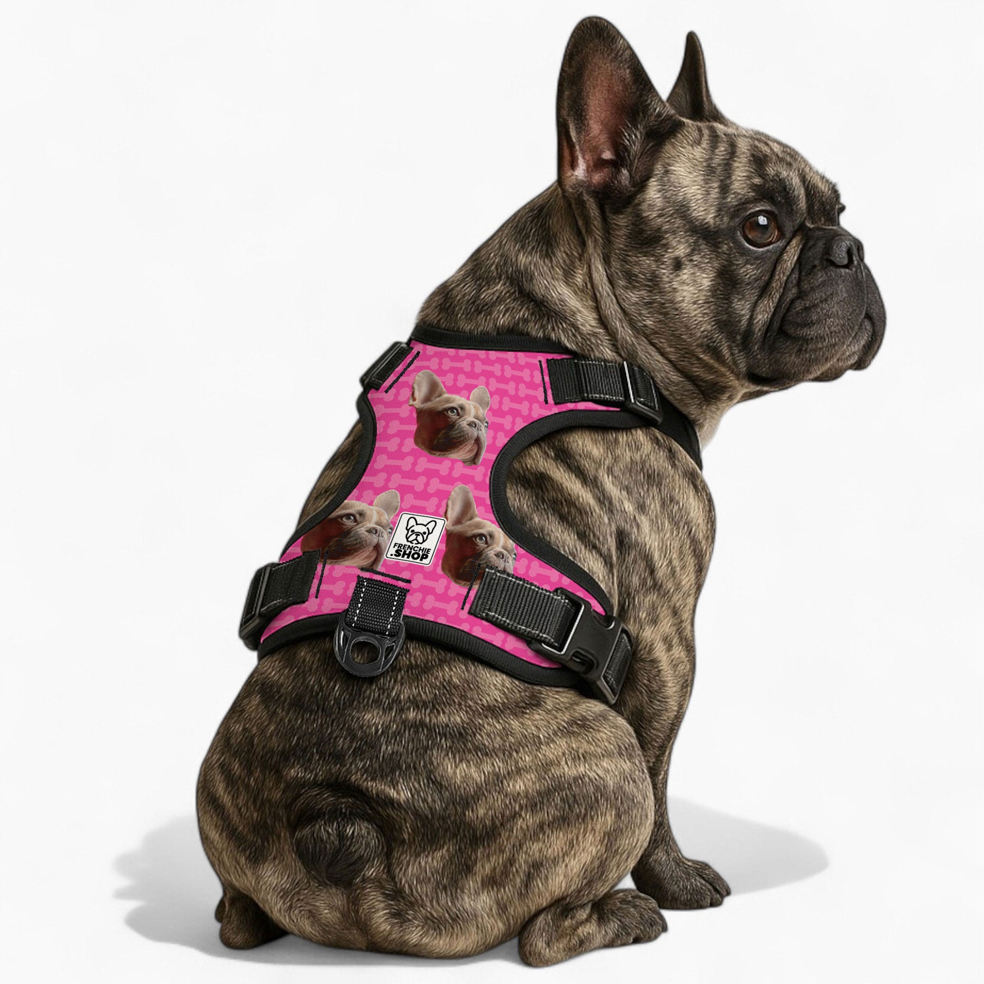 Personalized No-Pull Walking Harness for Flat-Face Breeds-fadou