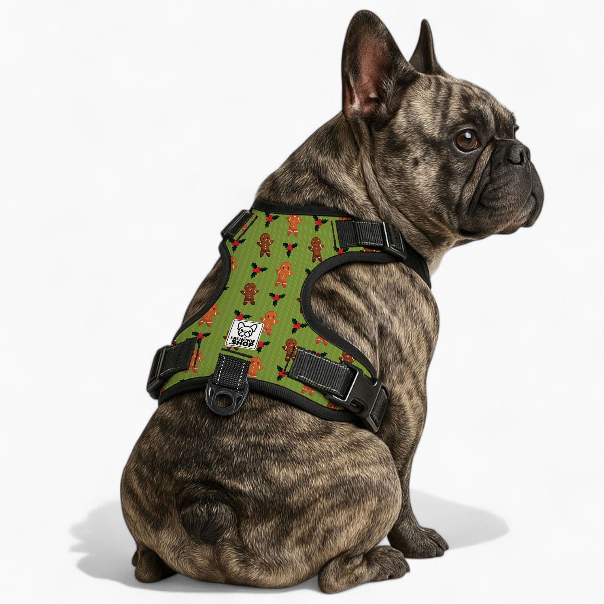 Mabel French Bulldog Walking Harness for Outdoor Adventures-fadou