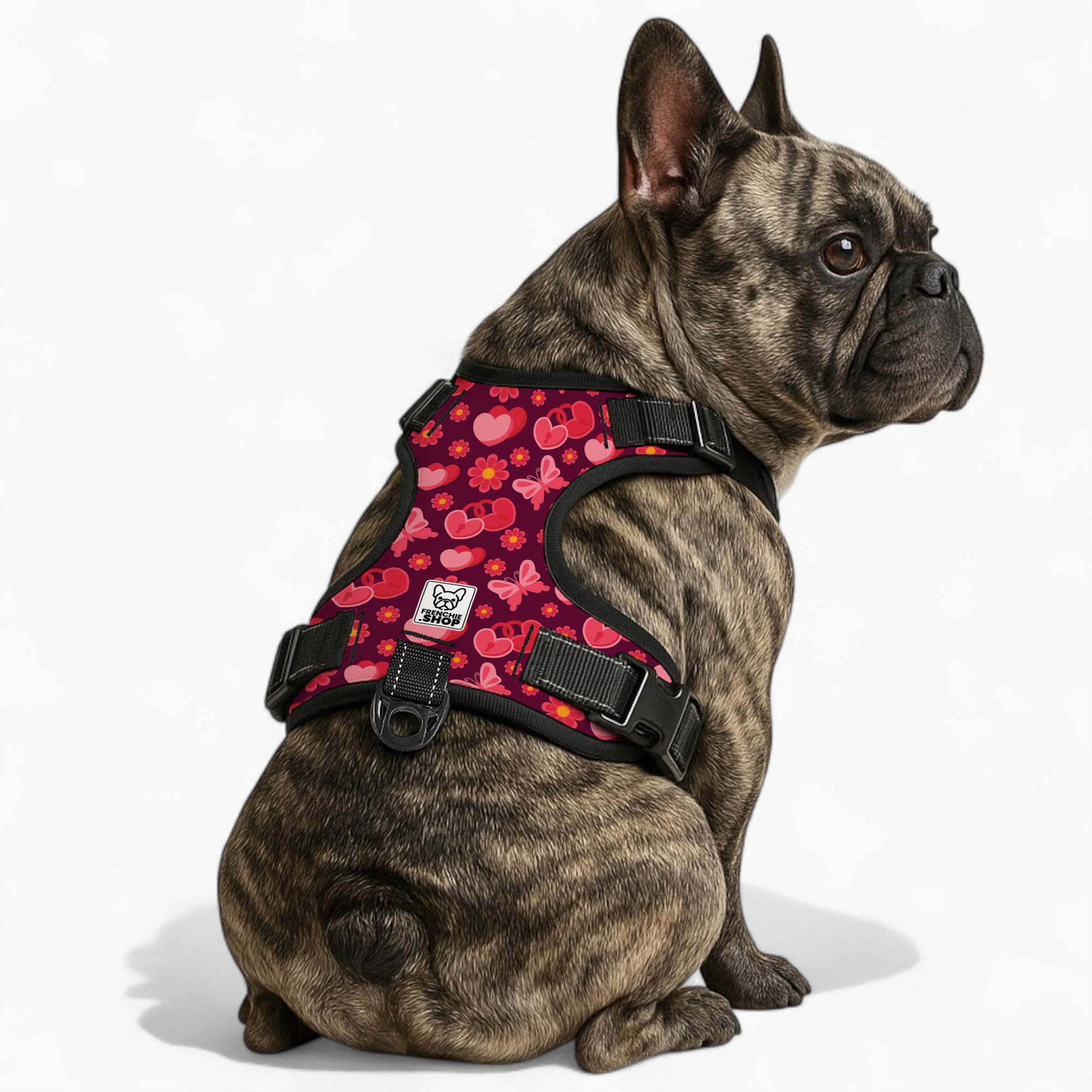 Jacqueline French Bulldog Chest Harness for Short-Nosed Dogs-fadou
