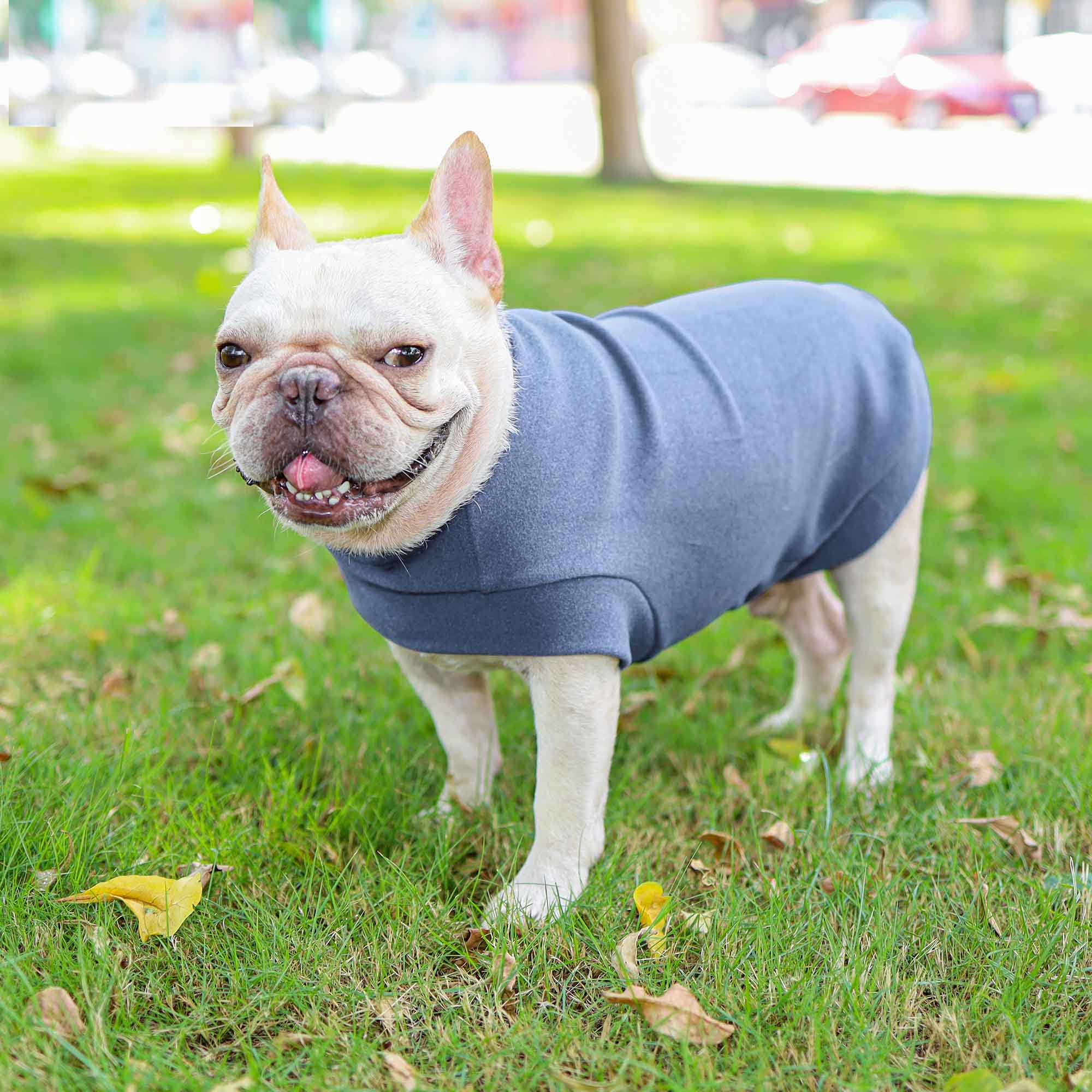 French Bulldog Fleece Pet Lover Jewelry for Frenchie Fans-fadou