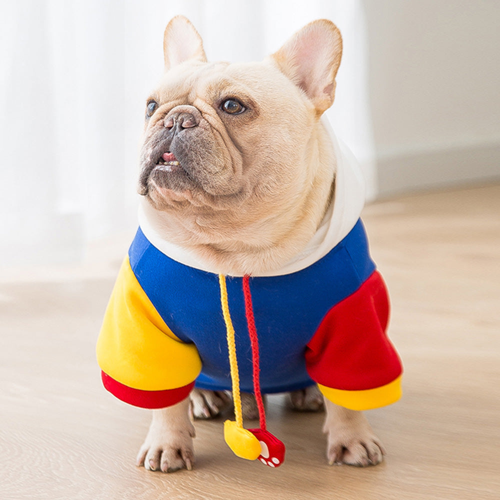 Super French Bulldog Pet Sweatshirt for French Bulldogs-fadou
