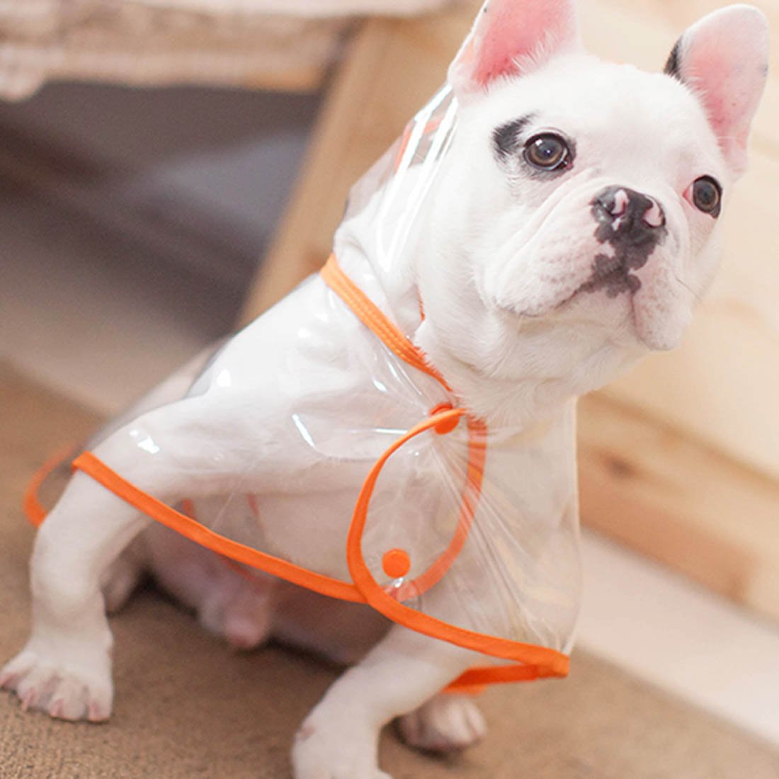French Bulldog Raincoat for Bulldog Fans for French Bulldogs-fadou