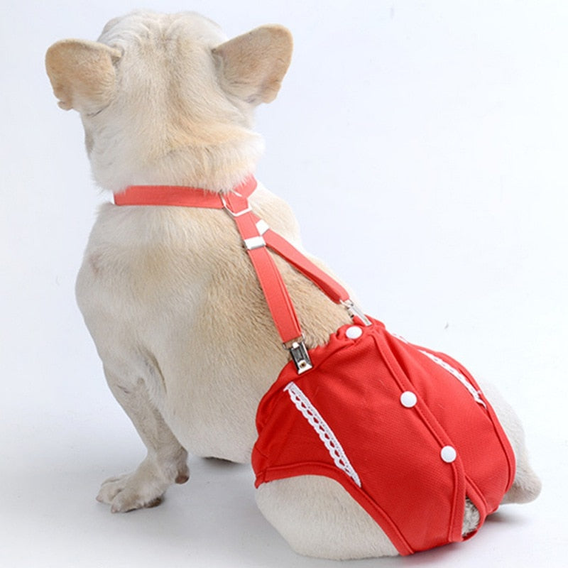 French Bulldog Premium Absorbent Underwear for Playtime Fun-fadou