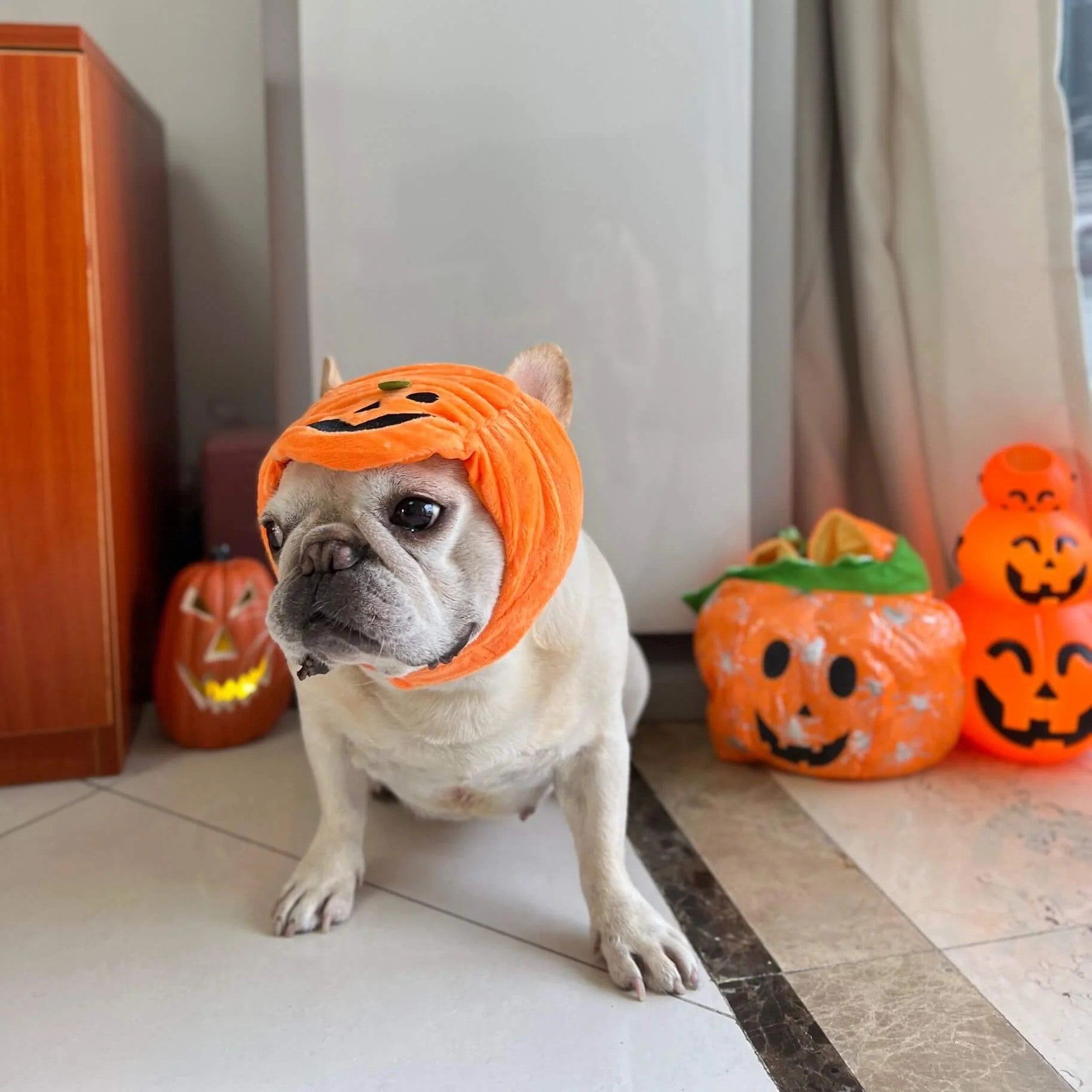 French Bulldog Cute Sun Headwear for Brachycephalic Dogs-fadou