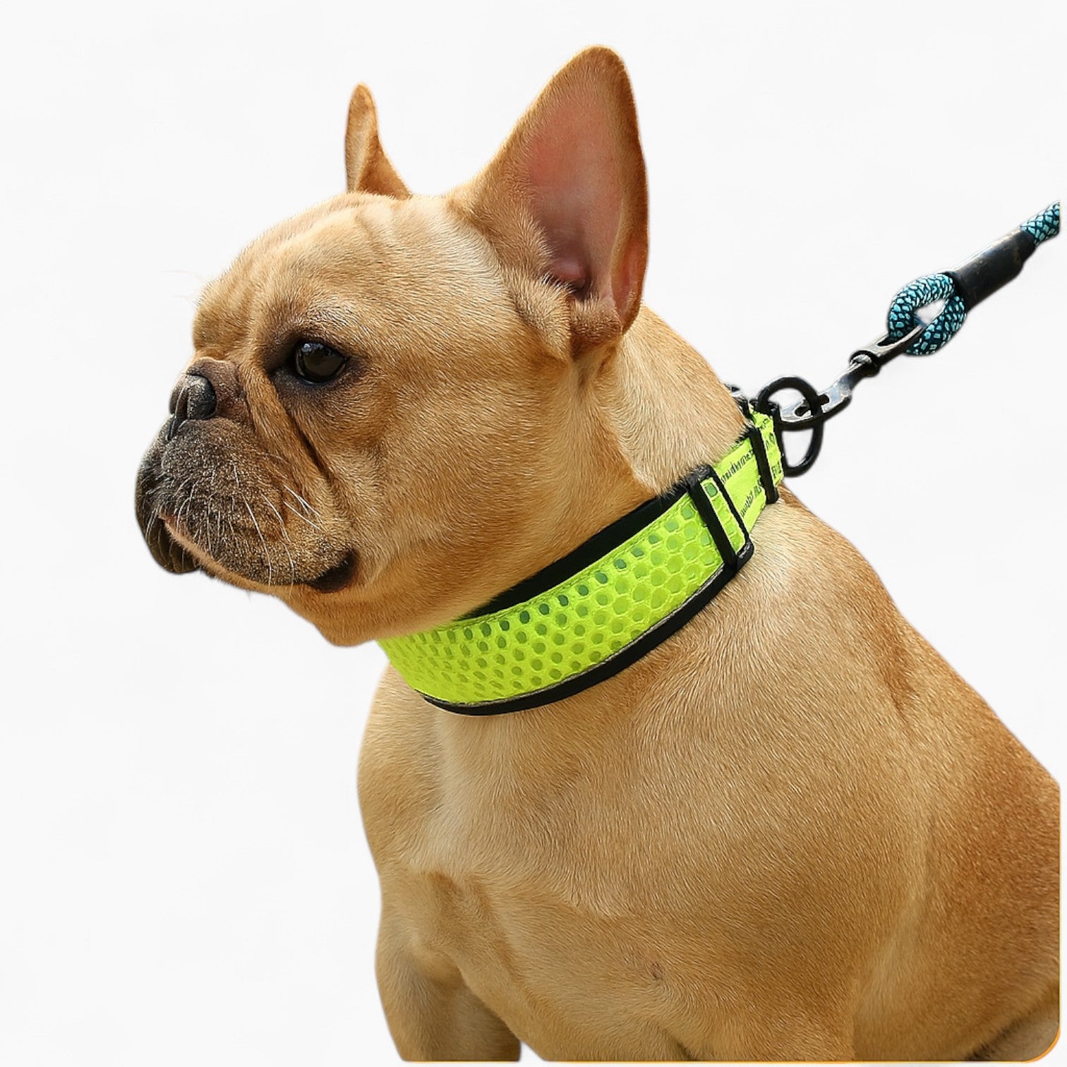 Adjustable Breathable Adjustable Collar for Daily Walks-fadou
