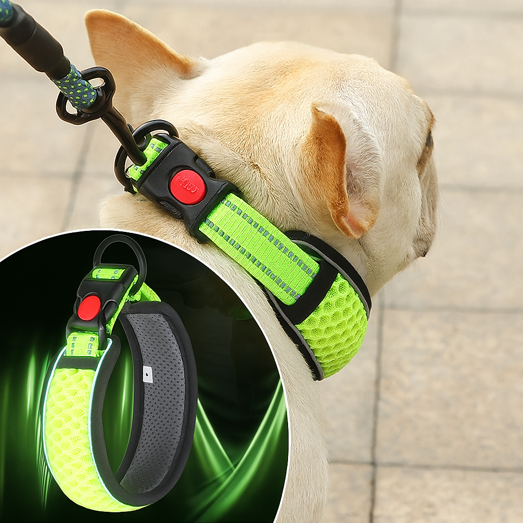 Adjustable Breathable Adjustable Collar for Daily Walks-fadou