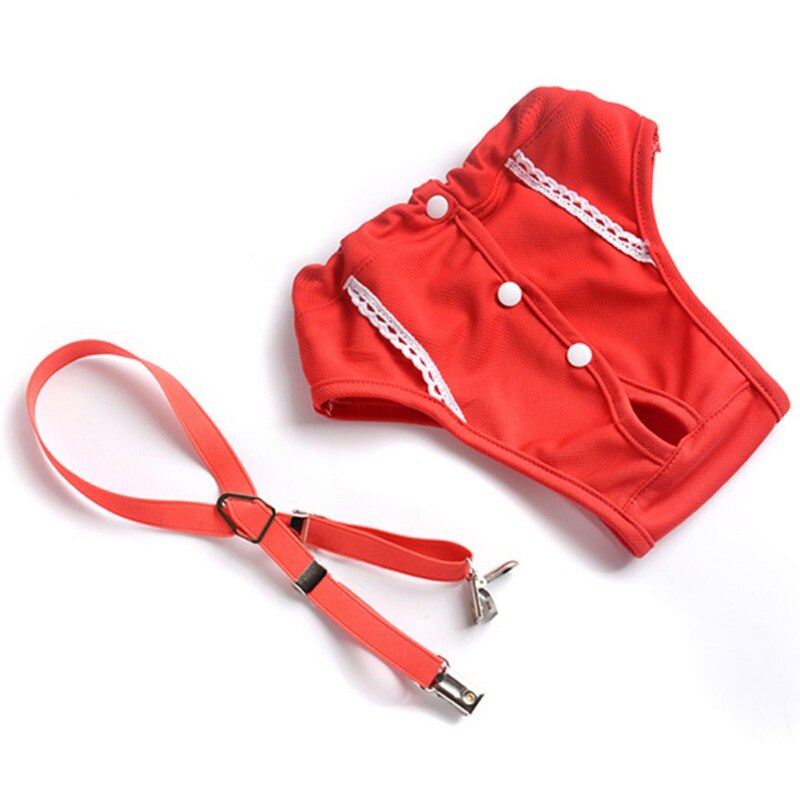 French Bulldog Premium Absorbent Underwear for Playtime Fun-fadou