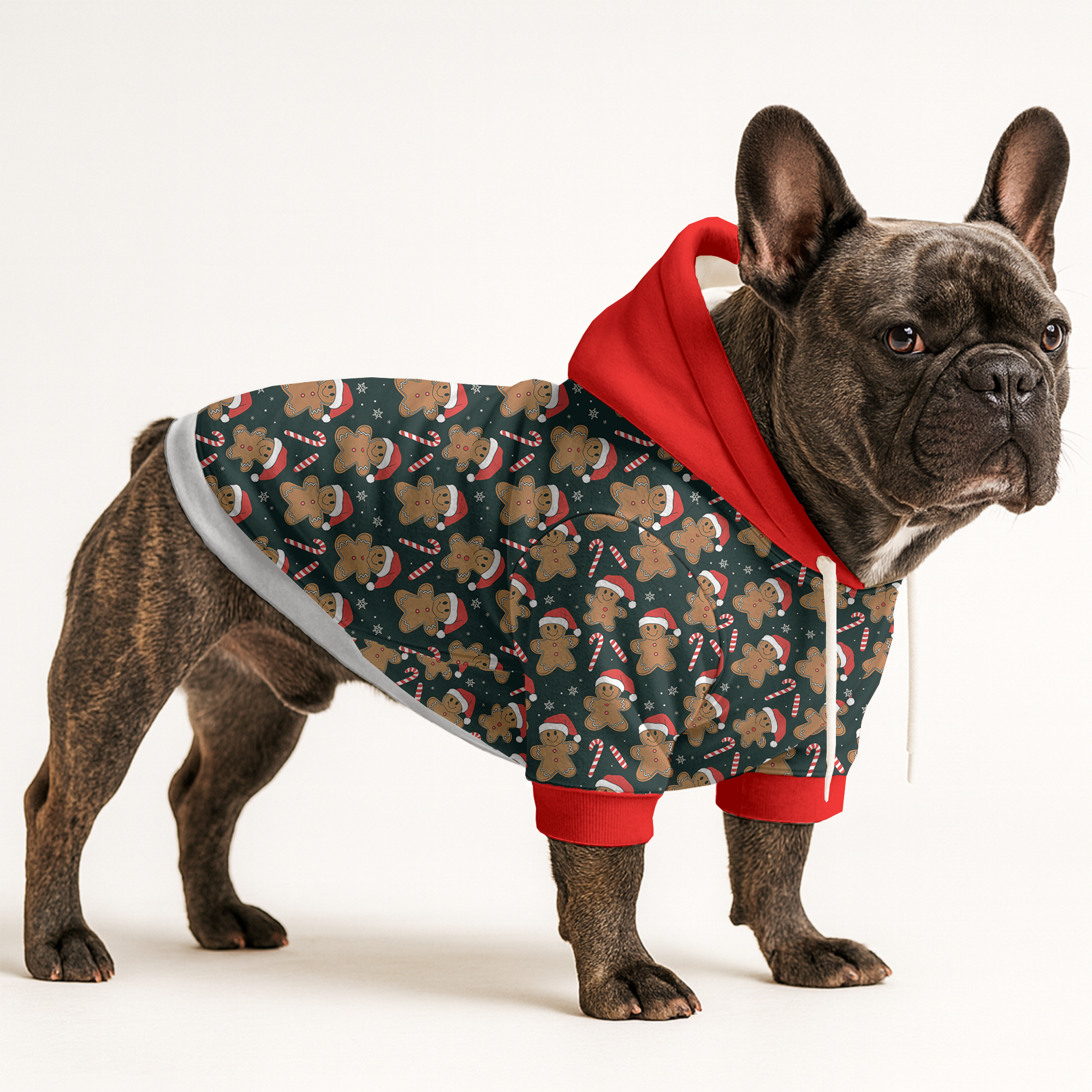 Chandler French Bulldog Cotton Sweatshirt for Pet Culture-fadou