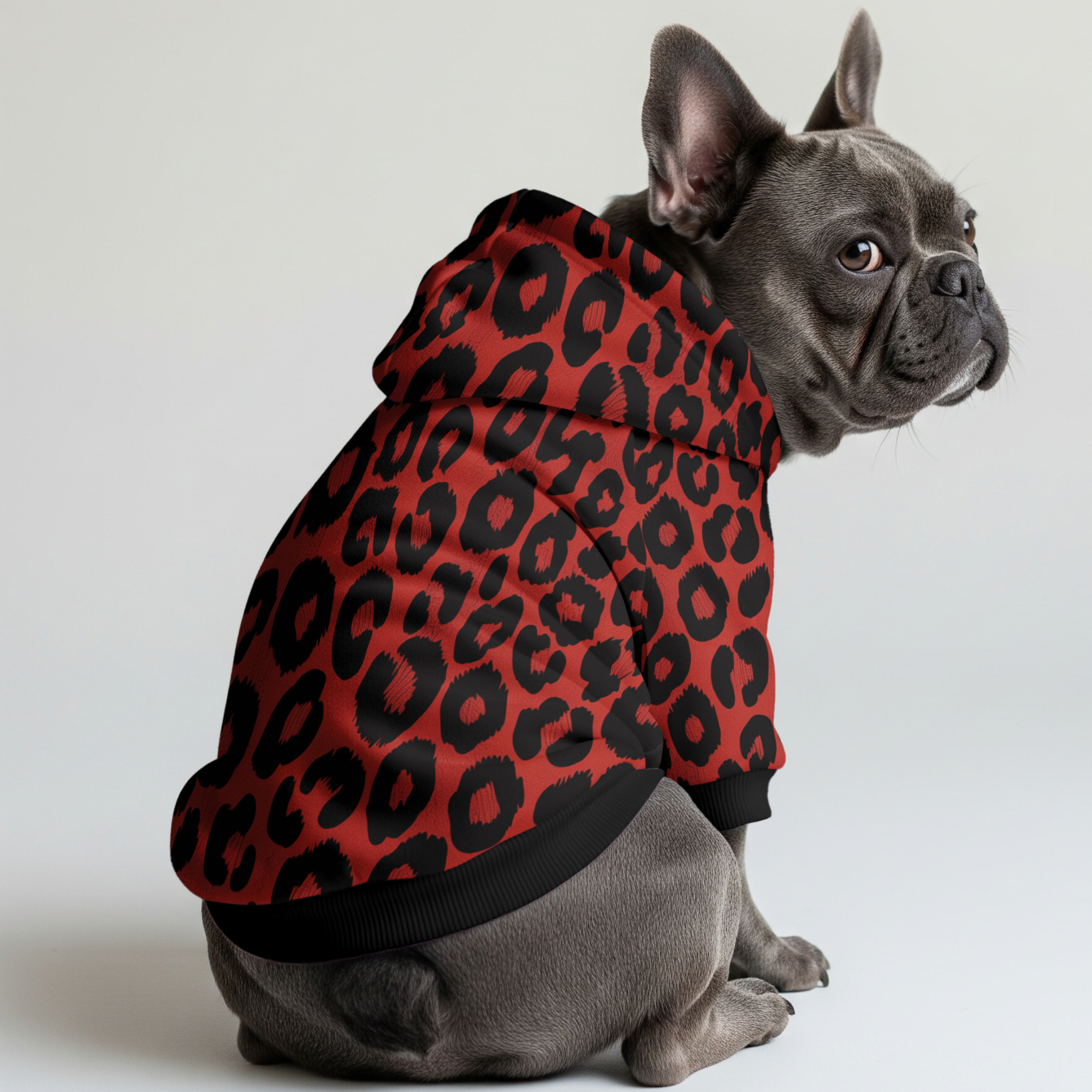 Maxima French Bulldog Pet Sweatshirt for Training Sessions-fadou