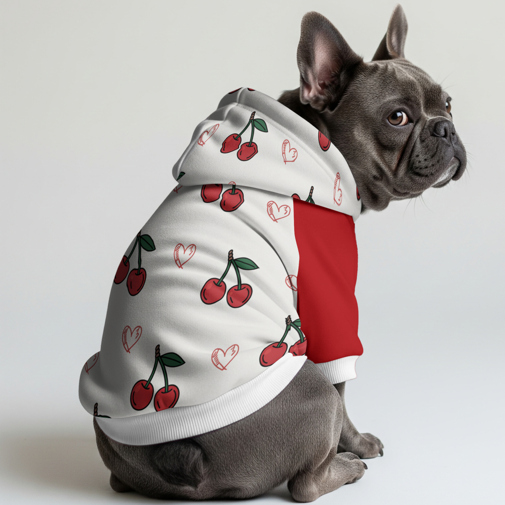 Queen French Bulldog Fleece Hoodie for Flat-Face Breeds-fadou