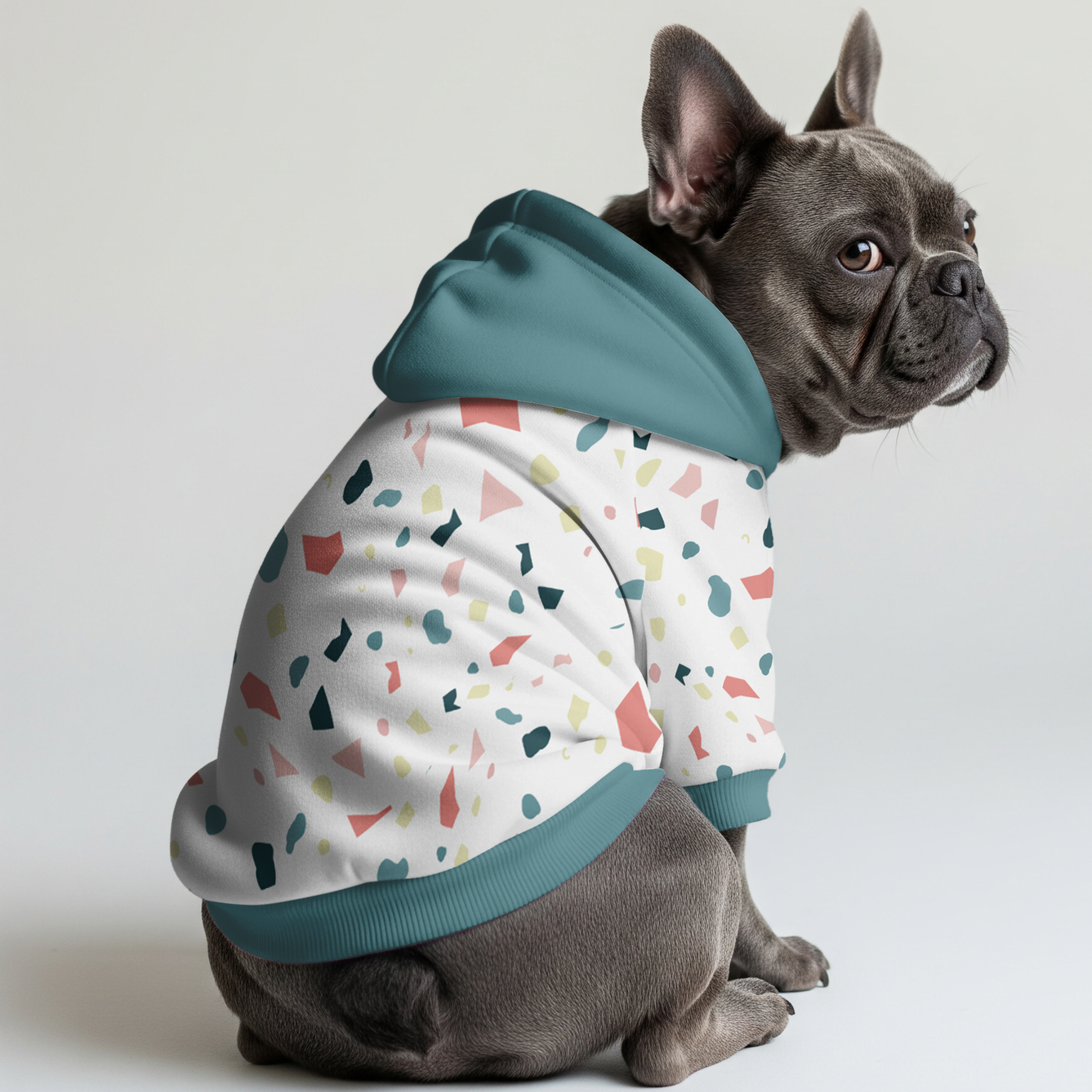 Ruby French Bulldog Pet Sweatshirt for Training Sessions-fadou
