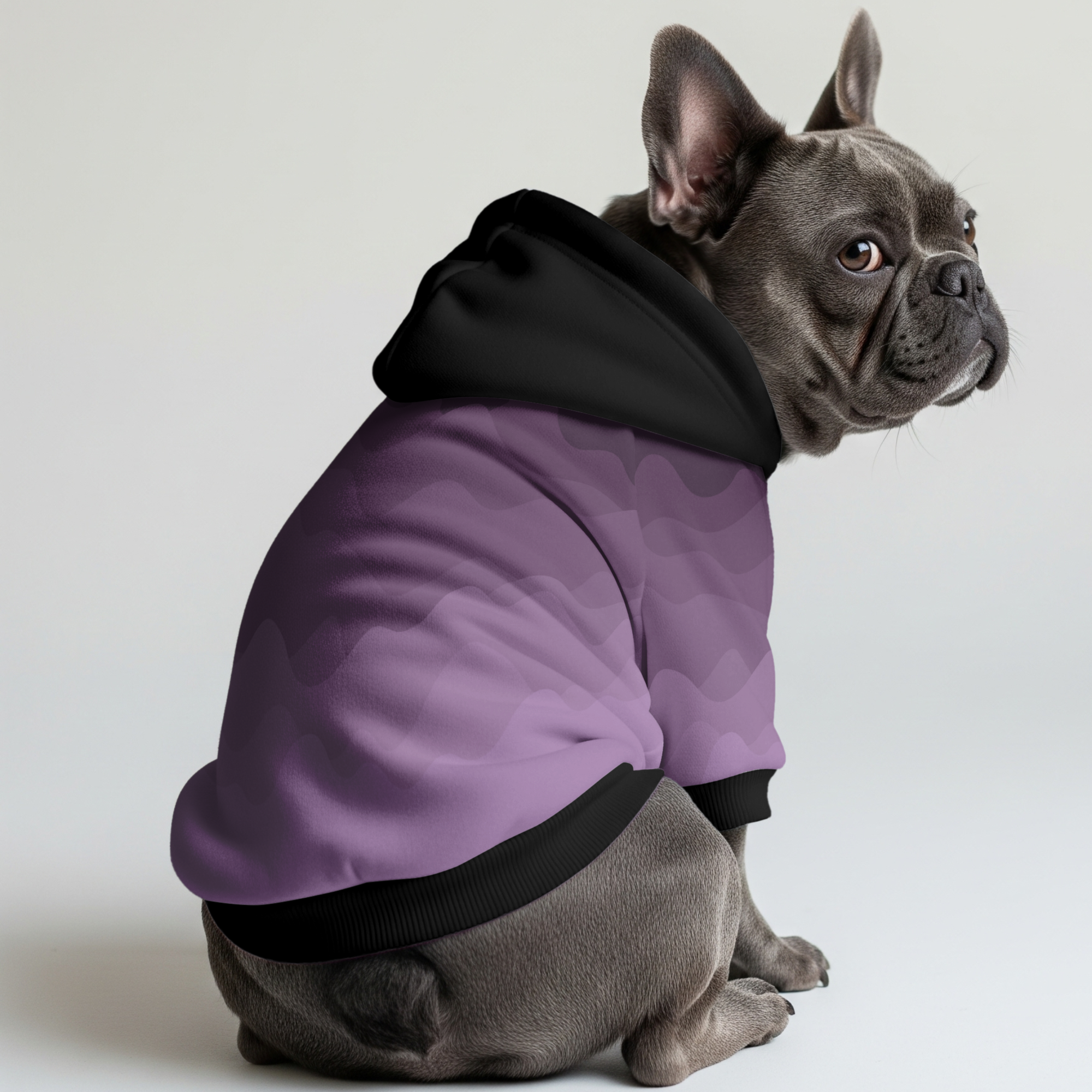 Goldie French Bulldog Pet Sweatshirt for Brachycephalic Dogs-fadou