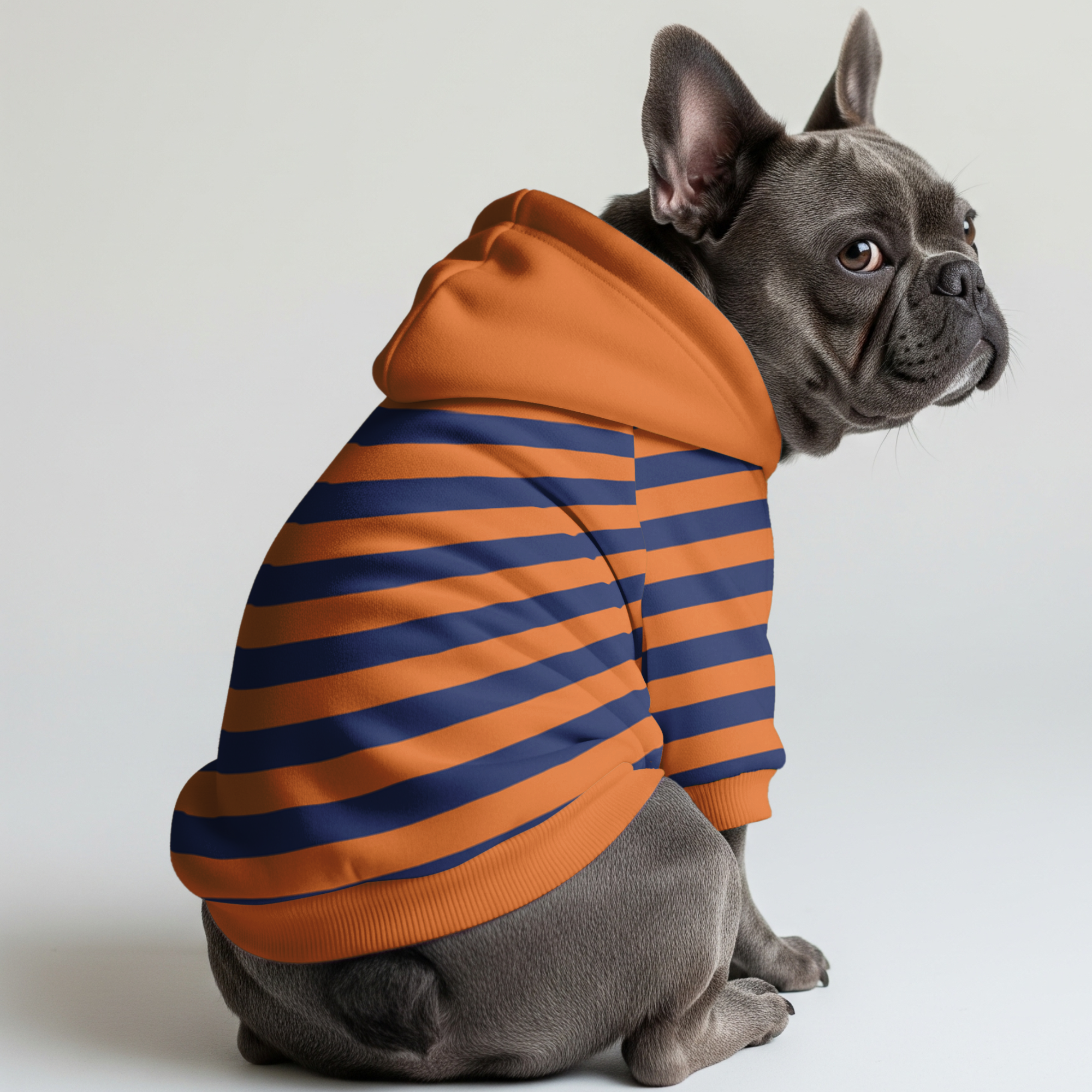 Jessie French Bulldog Fleece Hoodie for Training Sessions-fadou