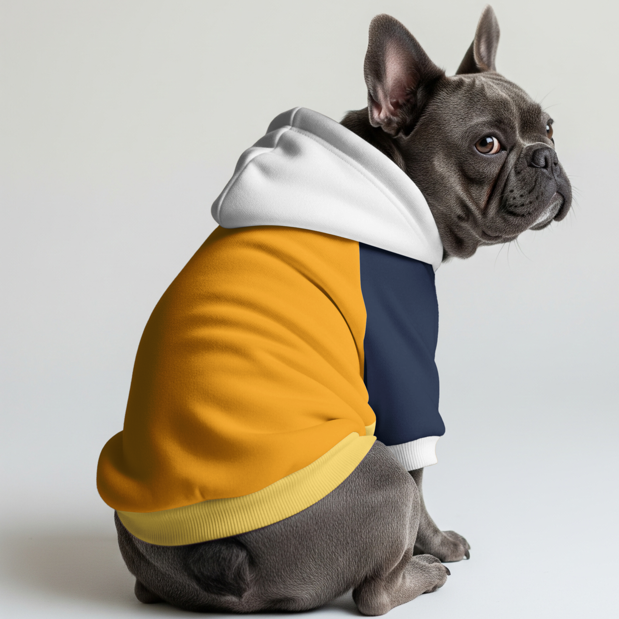 Milo French Bulldog Pet Sweatshirt for Outdoor Adventures-fadou