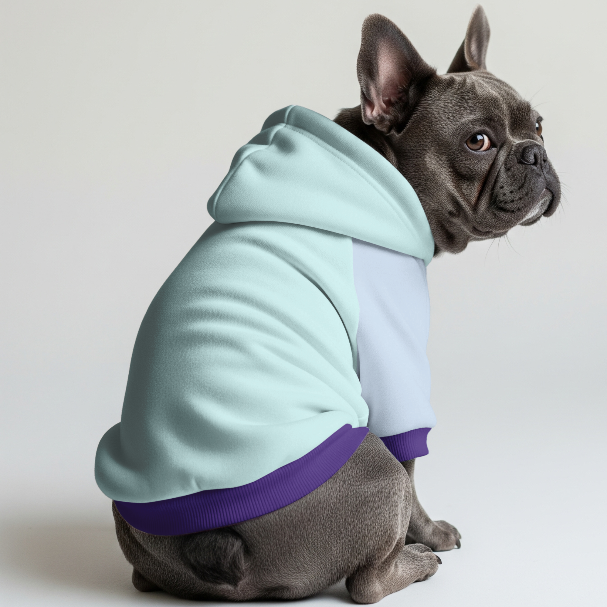 Bella French Bulldog Pet Sweatshirt for French Bulldogs-fadou