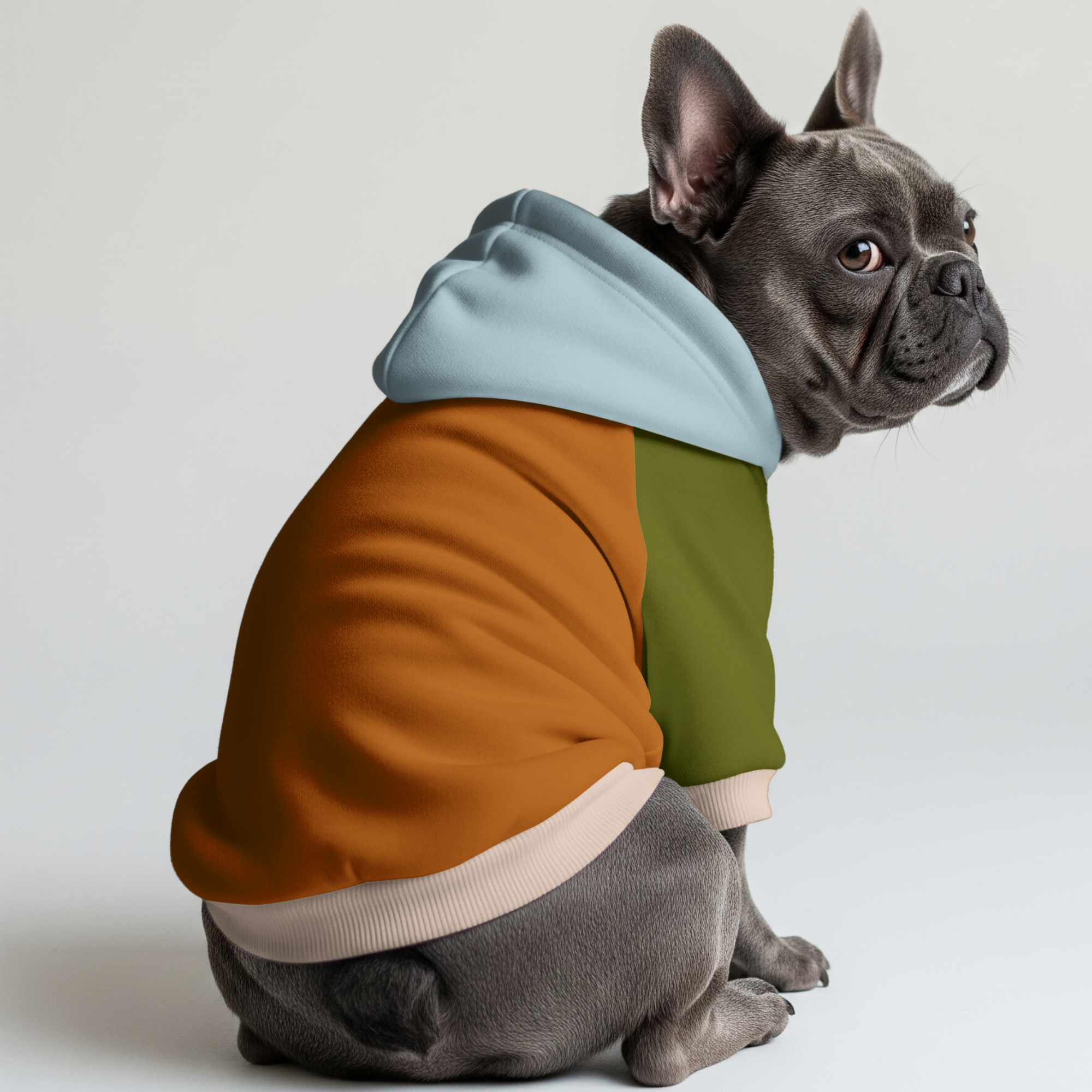 Ollie French Bulldog Pet Sweatshirt for Outdoor Adventures-fadou