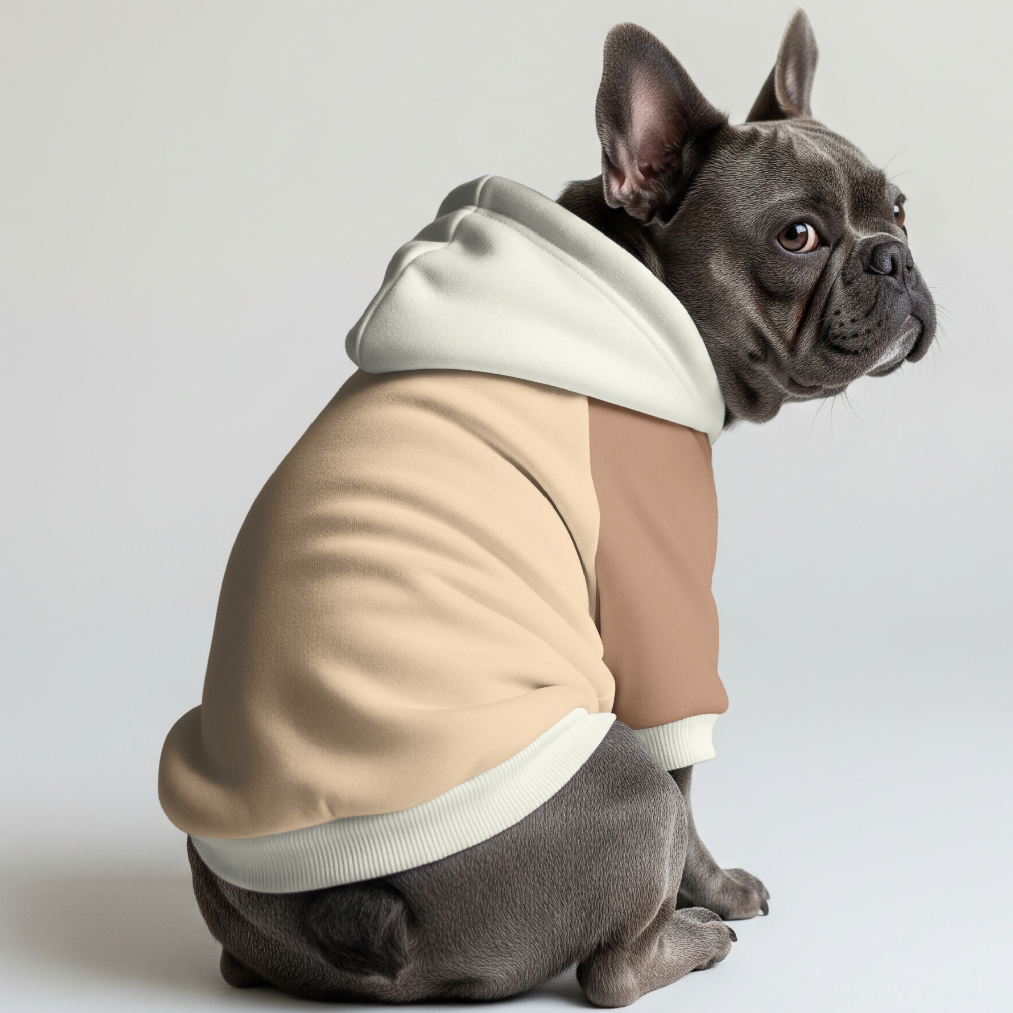 Teddy French Bulldog Pet Sweatshirt for Training Sessions-fadou