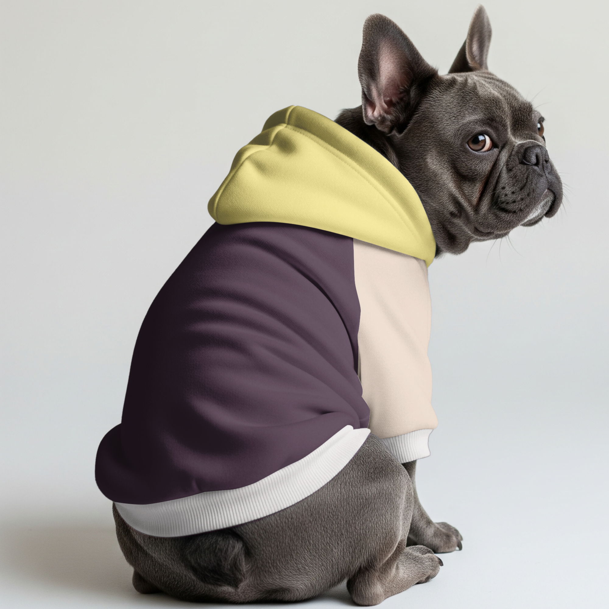 Thor French Bulldog Pet Sweatshirt for Training Sessions-fadou