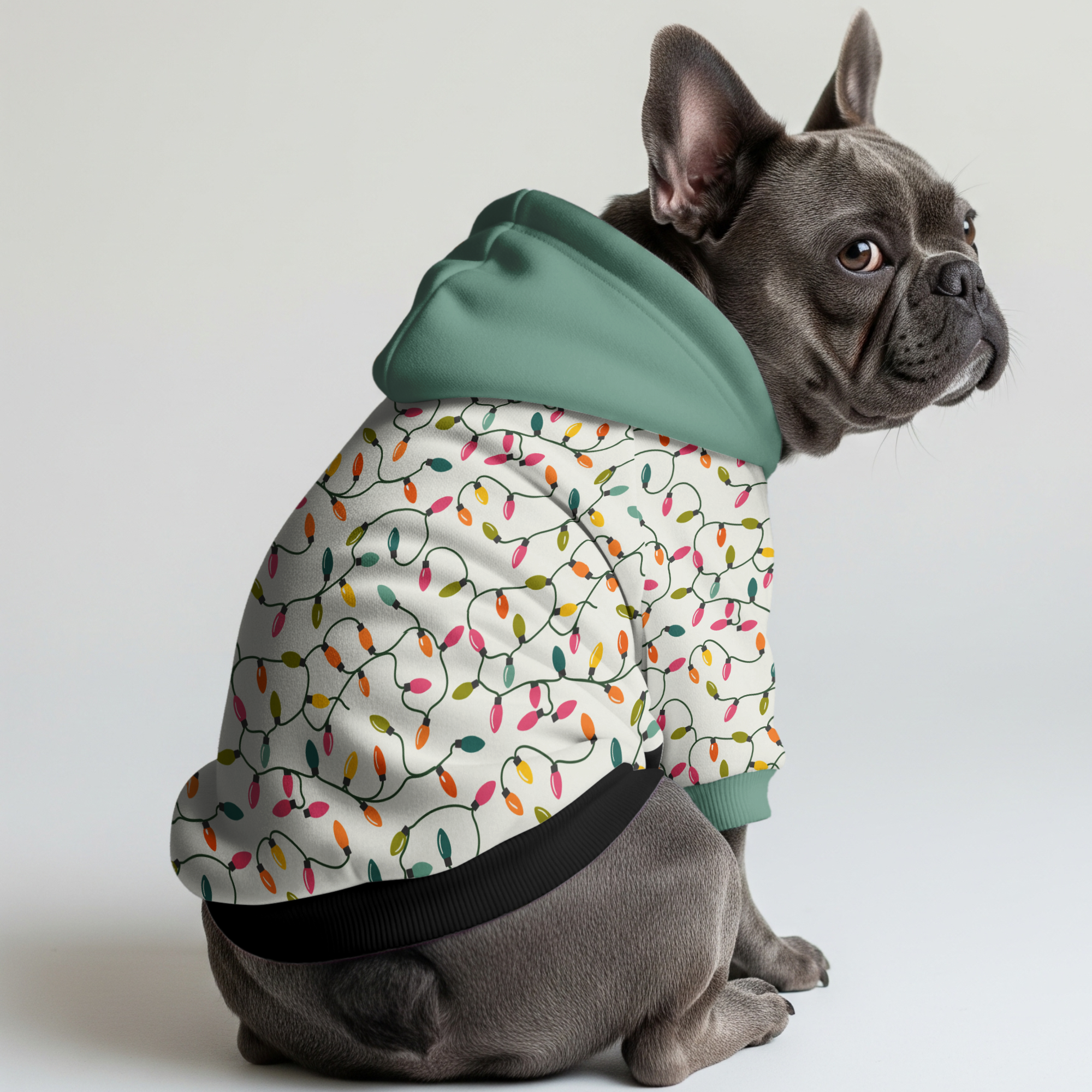 Bruno French Bulldog Pet Parent Pullover for Frenchie Fans-fadou