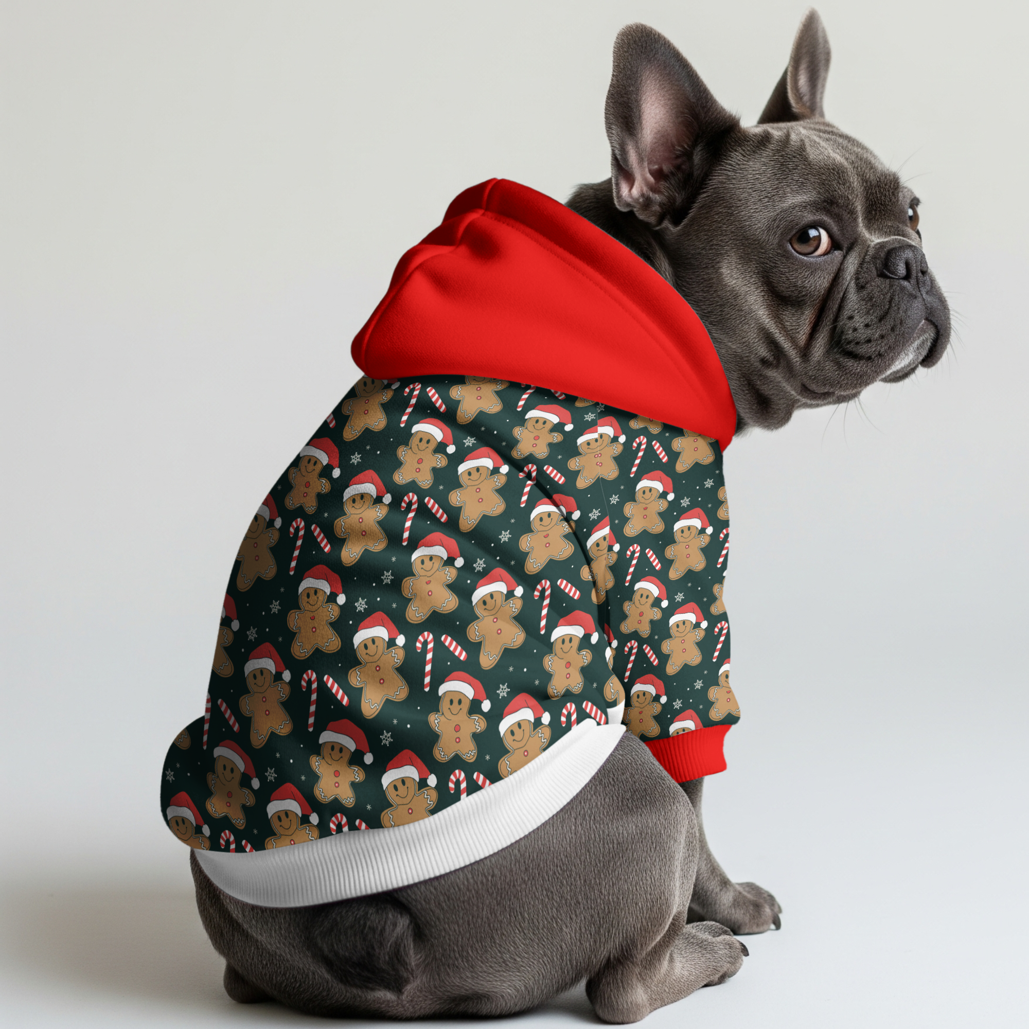 Chandler French Bulldog Cotton Sweatshirt for Pet Culture-fadou