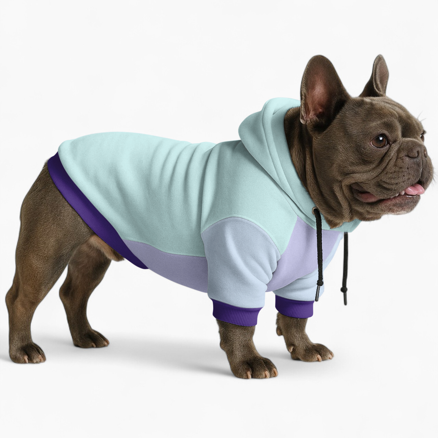 Bella French Bulldog Pet Sweatshirt for French Bulldogs-fadou