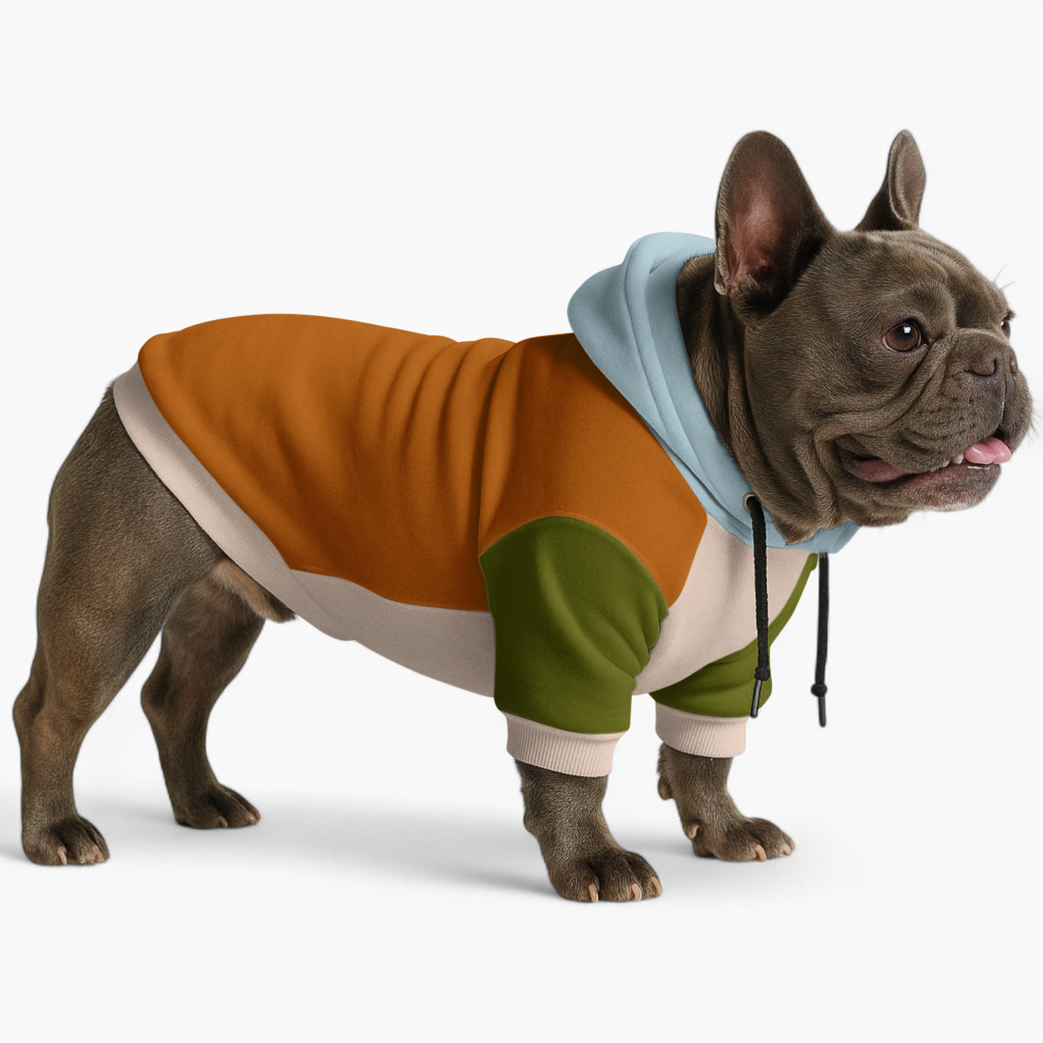 Ollie French Bulldog Pet Sweatshirt for Outdoor Adventures-fadou