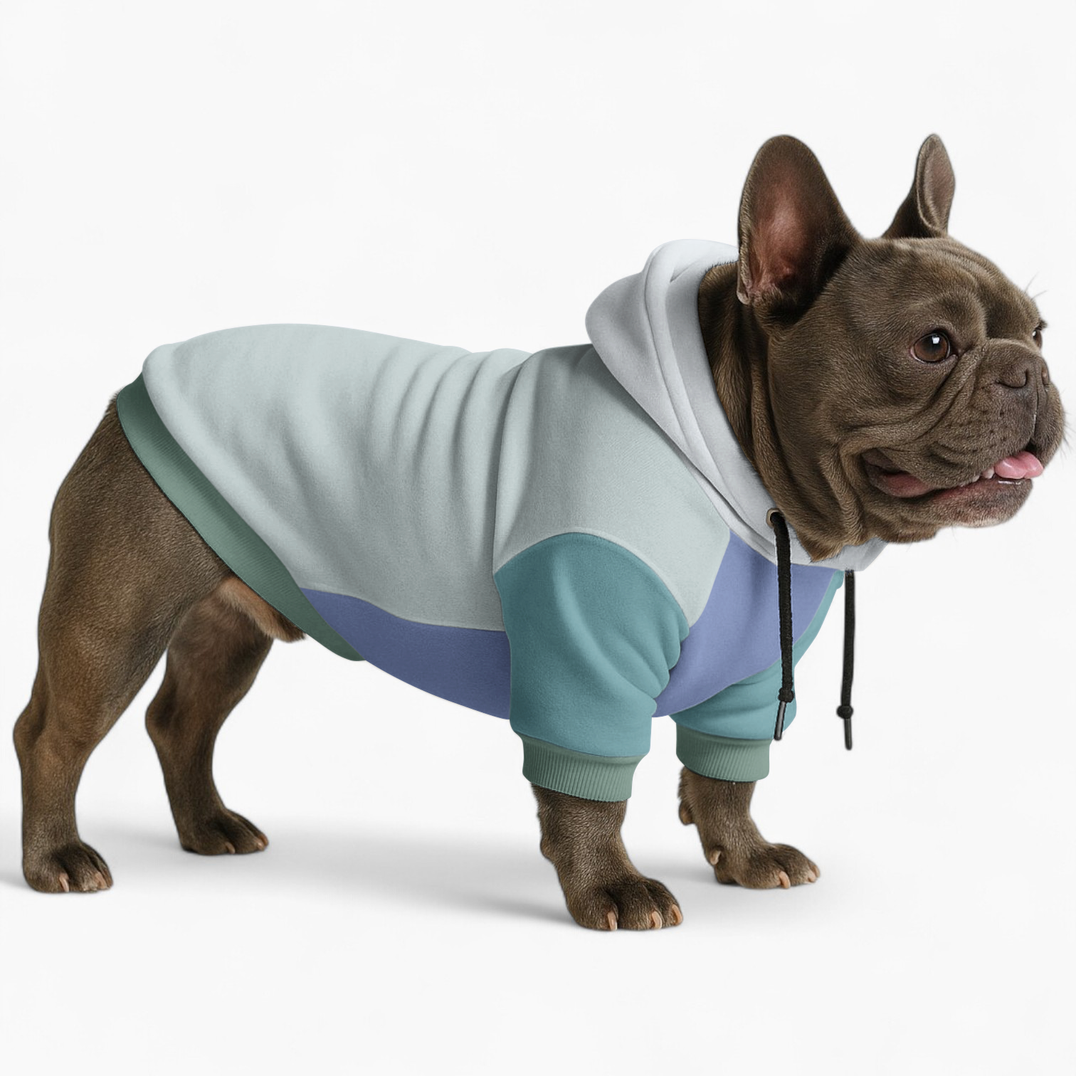 Ross French Bulldog Fleece Hoodie for Training Sessions-fadou