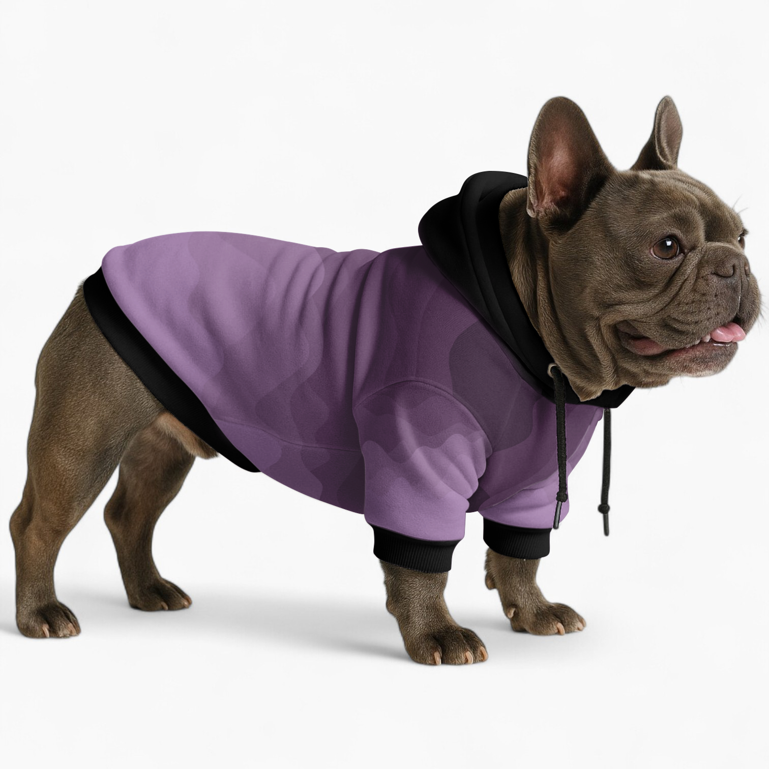 Goldie French Bulldog Pet Sweatshirt for Brachycephalic Dogs-fadou
