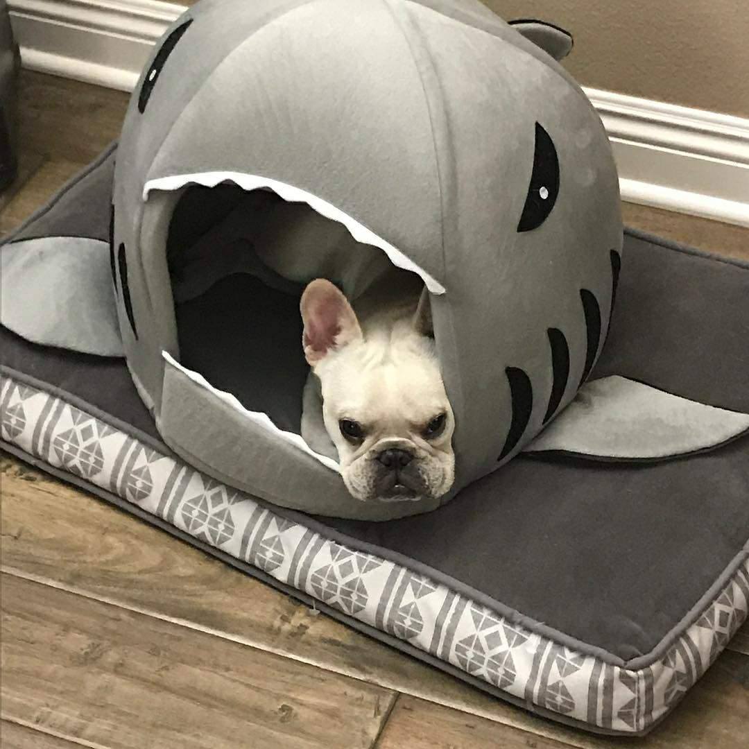 House French Bulldog Cozy Sofa Bed for Flat-Face Breeds-fadou