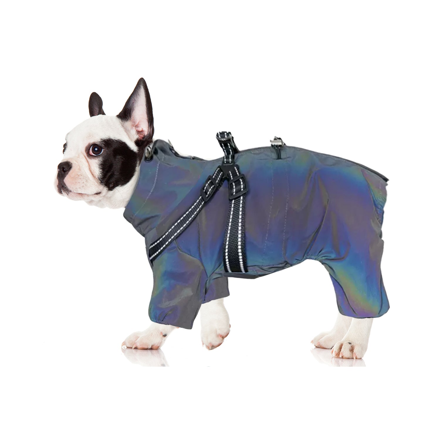 Frenchie Waterproof Weather Shield for Outdoor Adventures-fadou