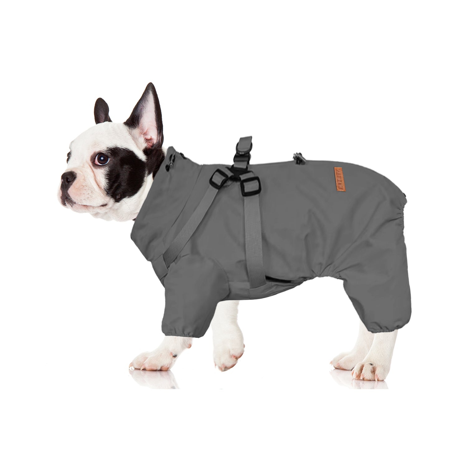 French Bulldog Reflective Pet Jacket for Outdoor Adventures-fadou