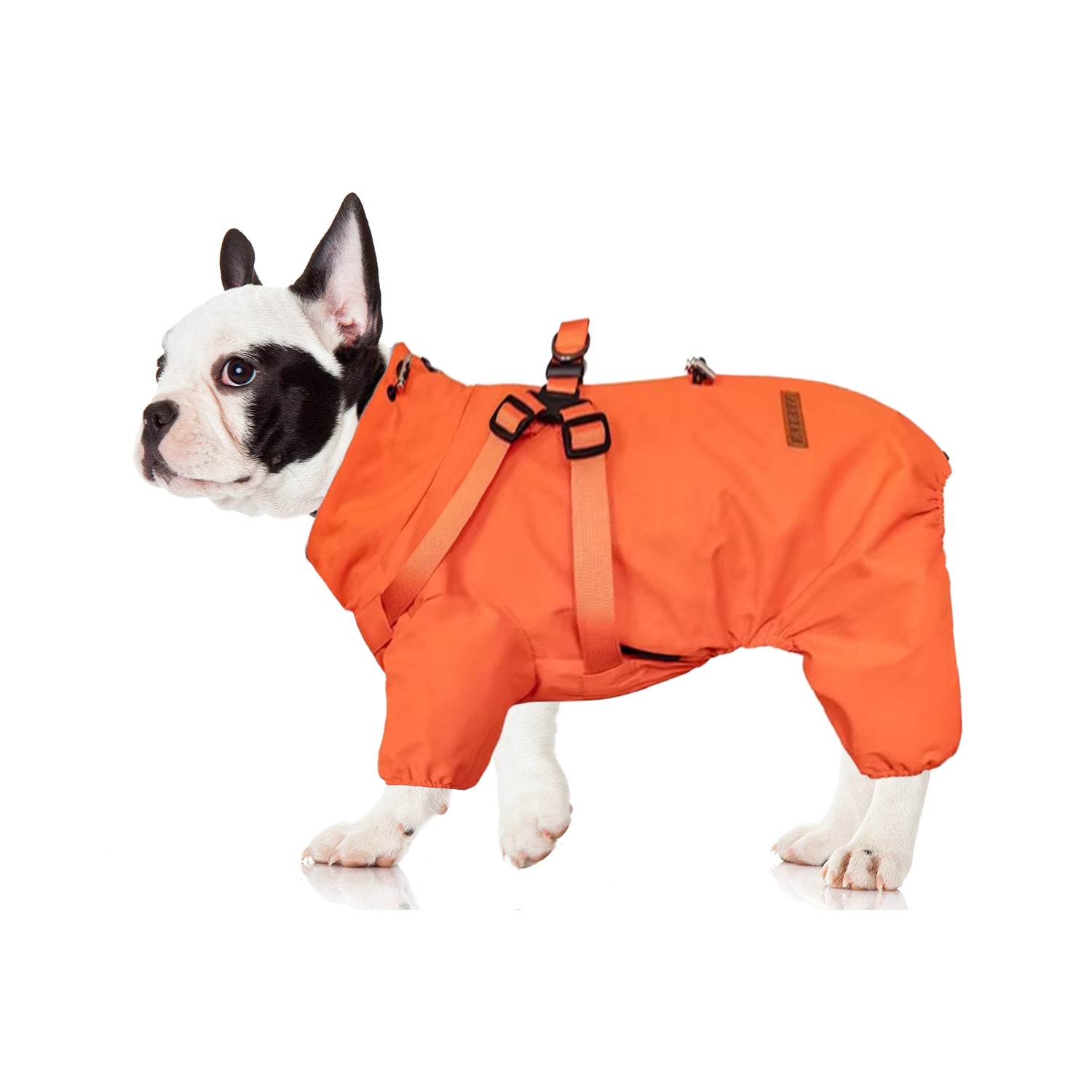 Frenchie Waterproof Weather Shield for Outdoor Adventures-fadou