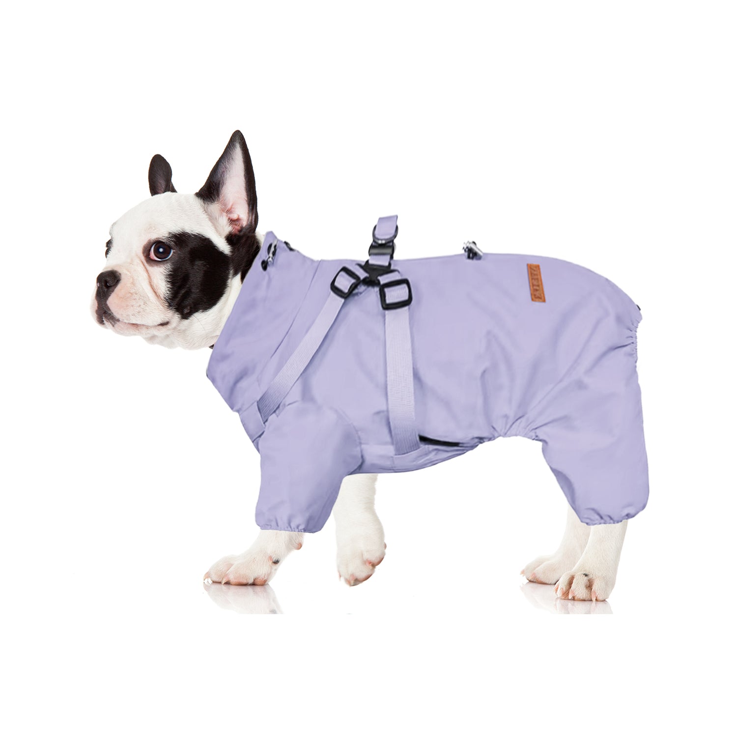 Frenchie Waterproof Weather Shield for Outdoor Adventures-fadou