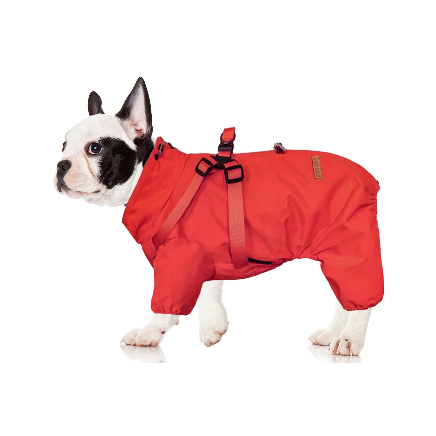 Frenchie Waterproof Weather Shield for Outdoor Adventures-fadou