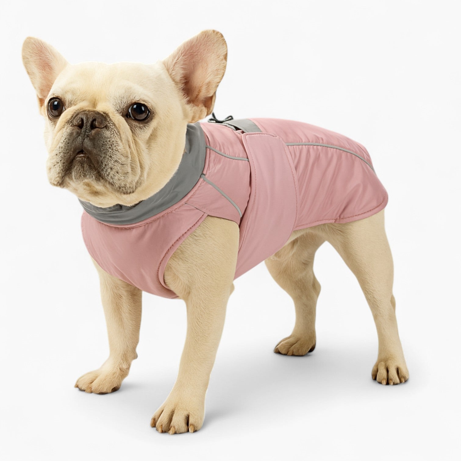 French Bulldog Waterproof Dog Coat for Outdoor Adventures-fadou