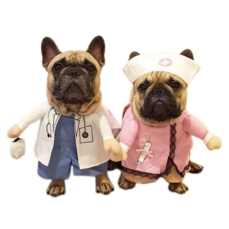 French Bulldog Halloween Festive Costume for Flat-Face Breeds-fadou