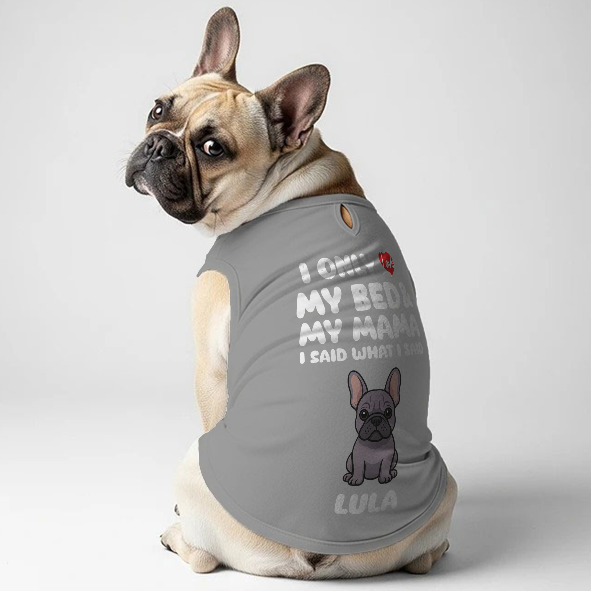 French Bulldog Personalized Cotton T-Shirt for Bulldog Owners-fadou
